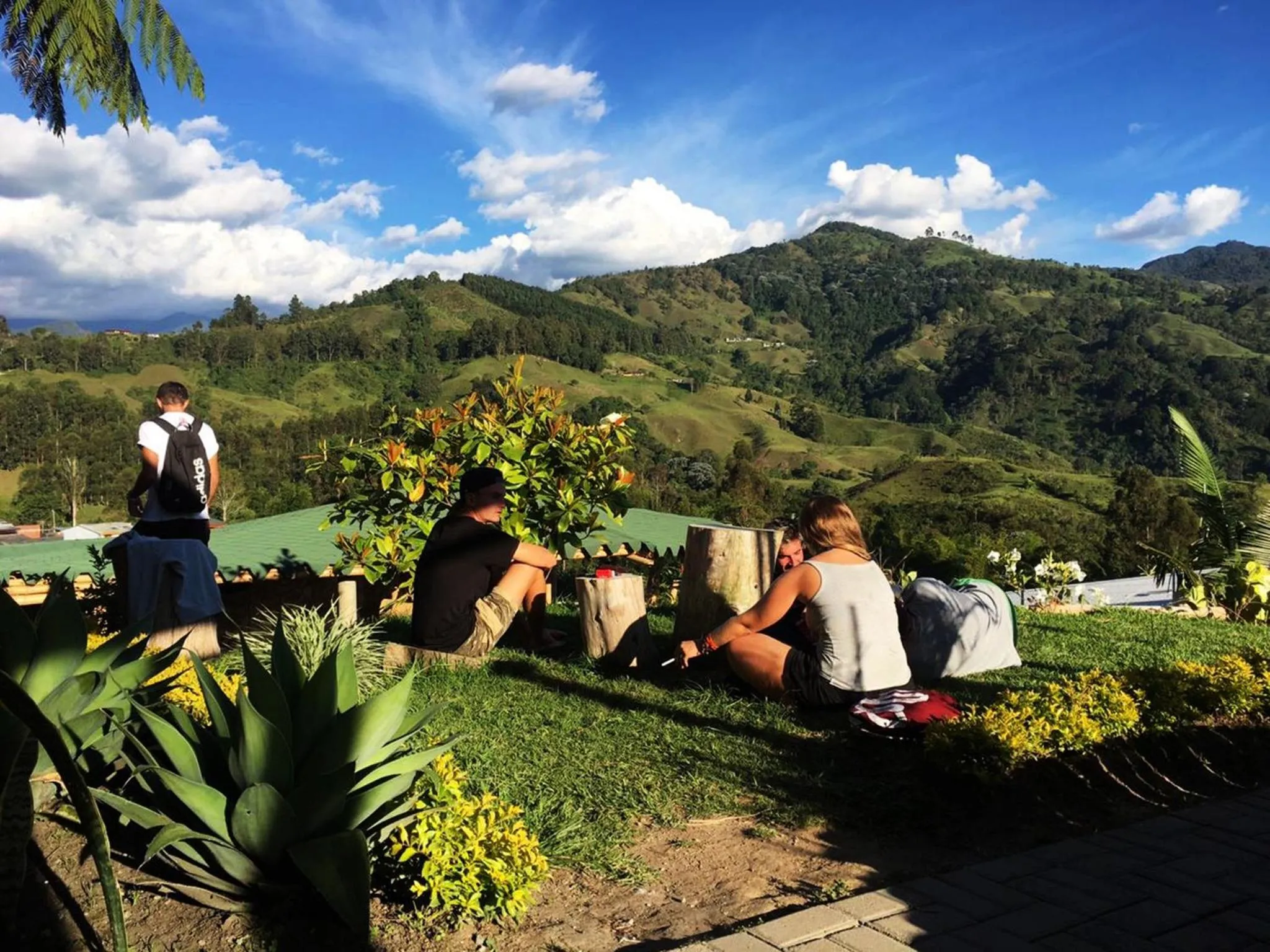 Garden in Viajero Salento Hostel