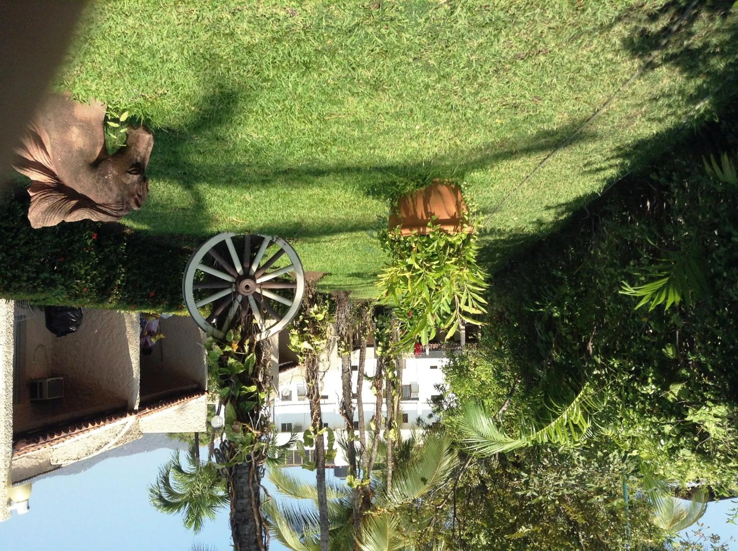 Garden in Sands Acapulco Hotel & Bungalows