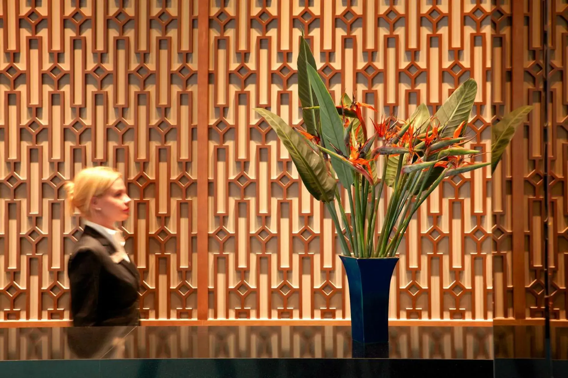 Zeus Wyndham Grand Athens Zeus Wyndham Grand Athens