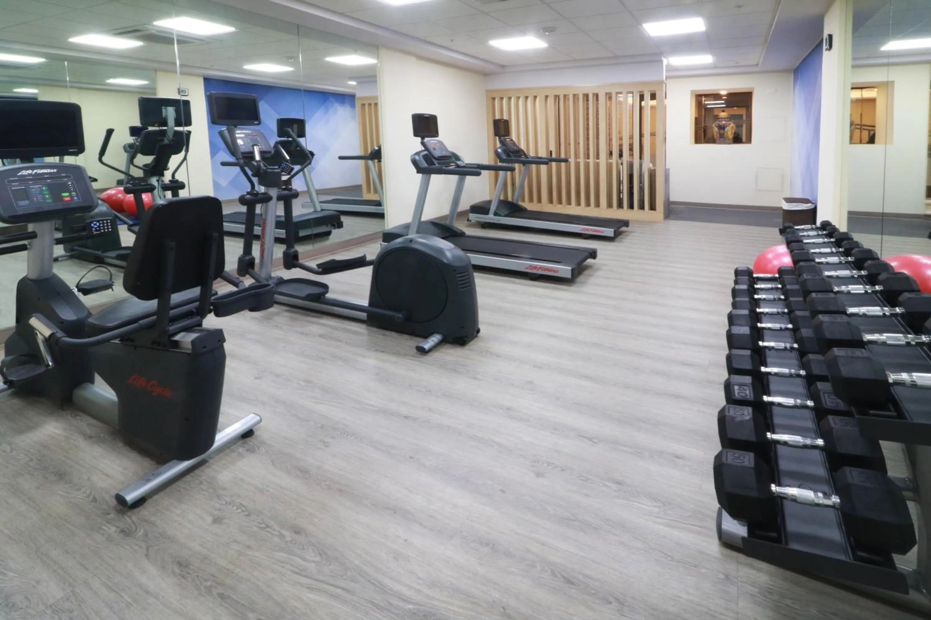 Fitness centre/facilities in Holiday Inn Hotel & Suites Centro Historico by IHG