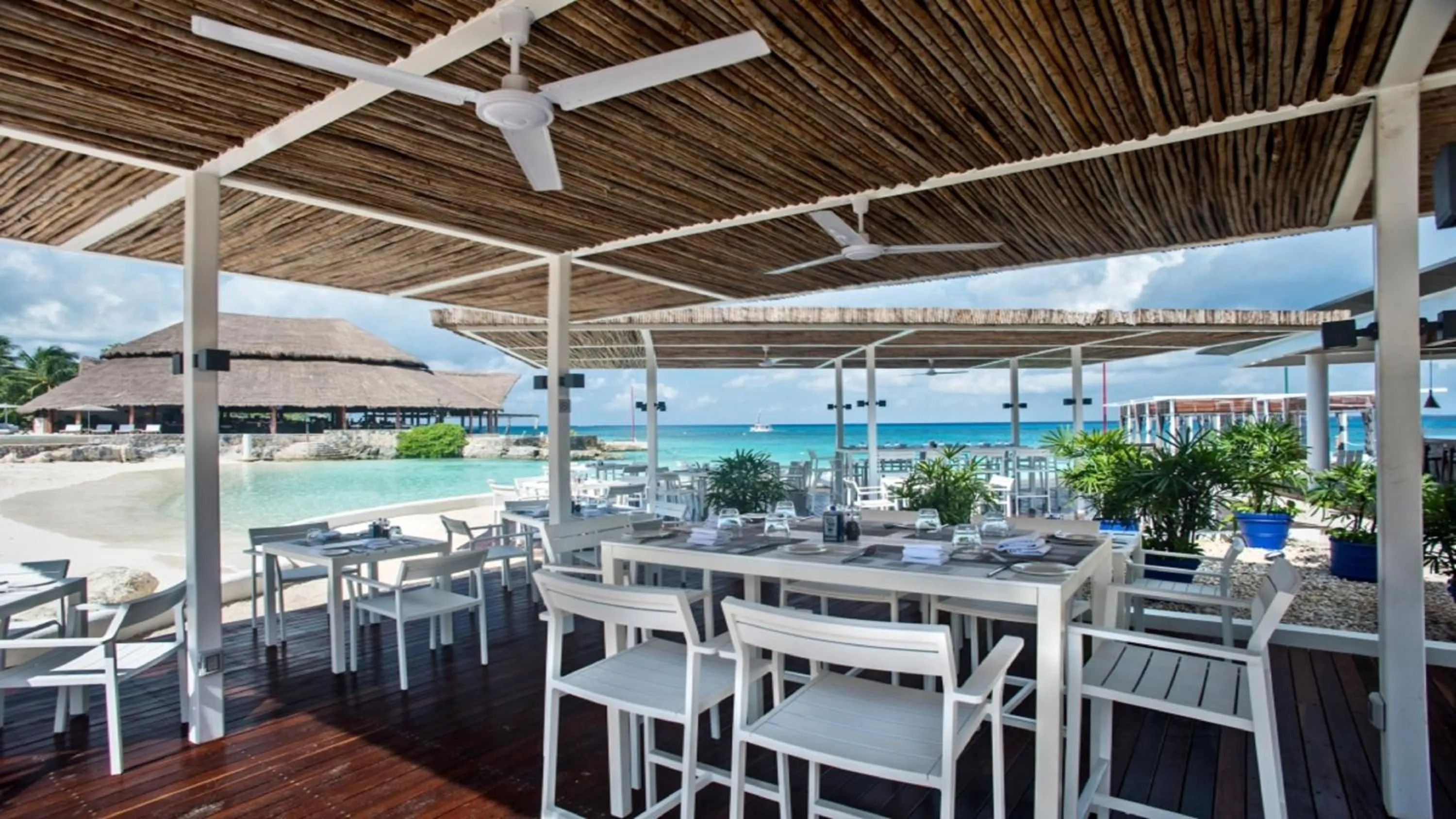 Restaurant/places to eat in Presidente InterContinental Cozumel Resort & Spa by IHG