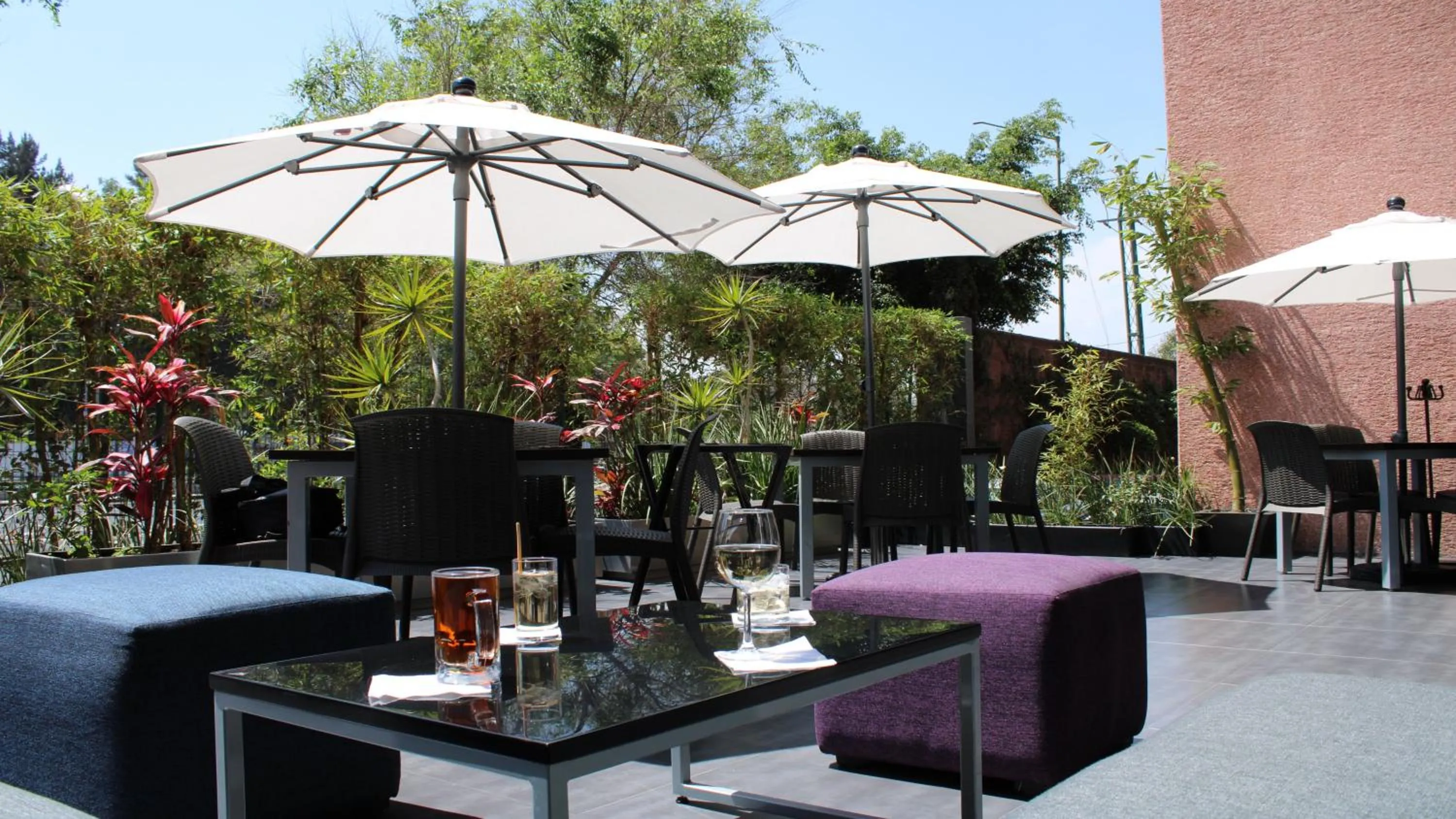 Restaurant/places to eat in Holiday Inn Mexico Dali Airport by IHG