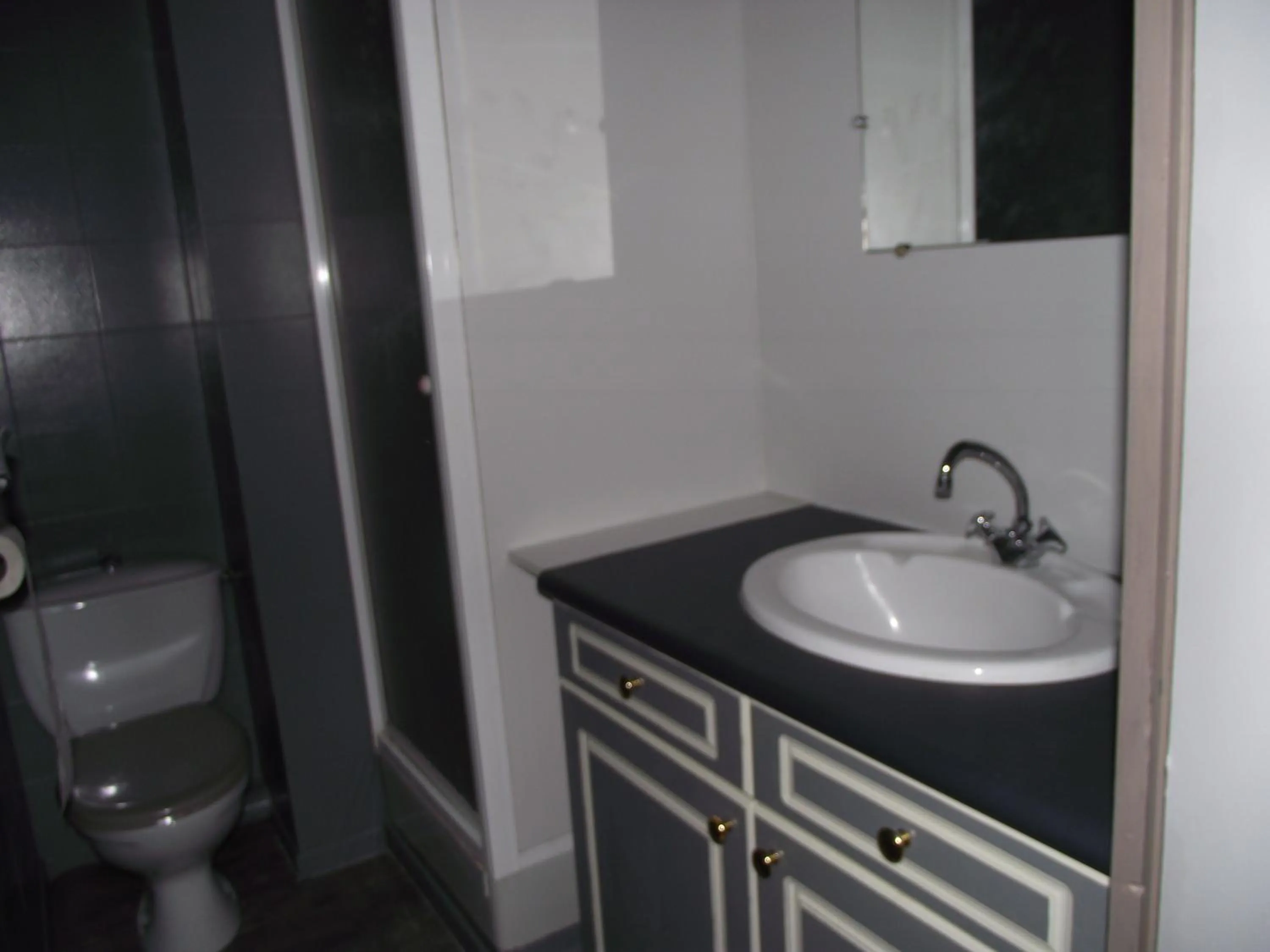 Toilet in Hotel Valérie