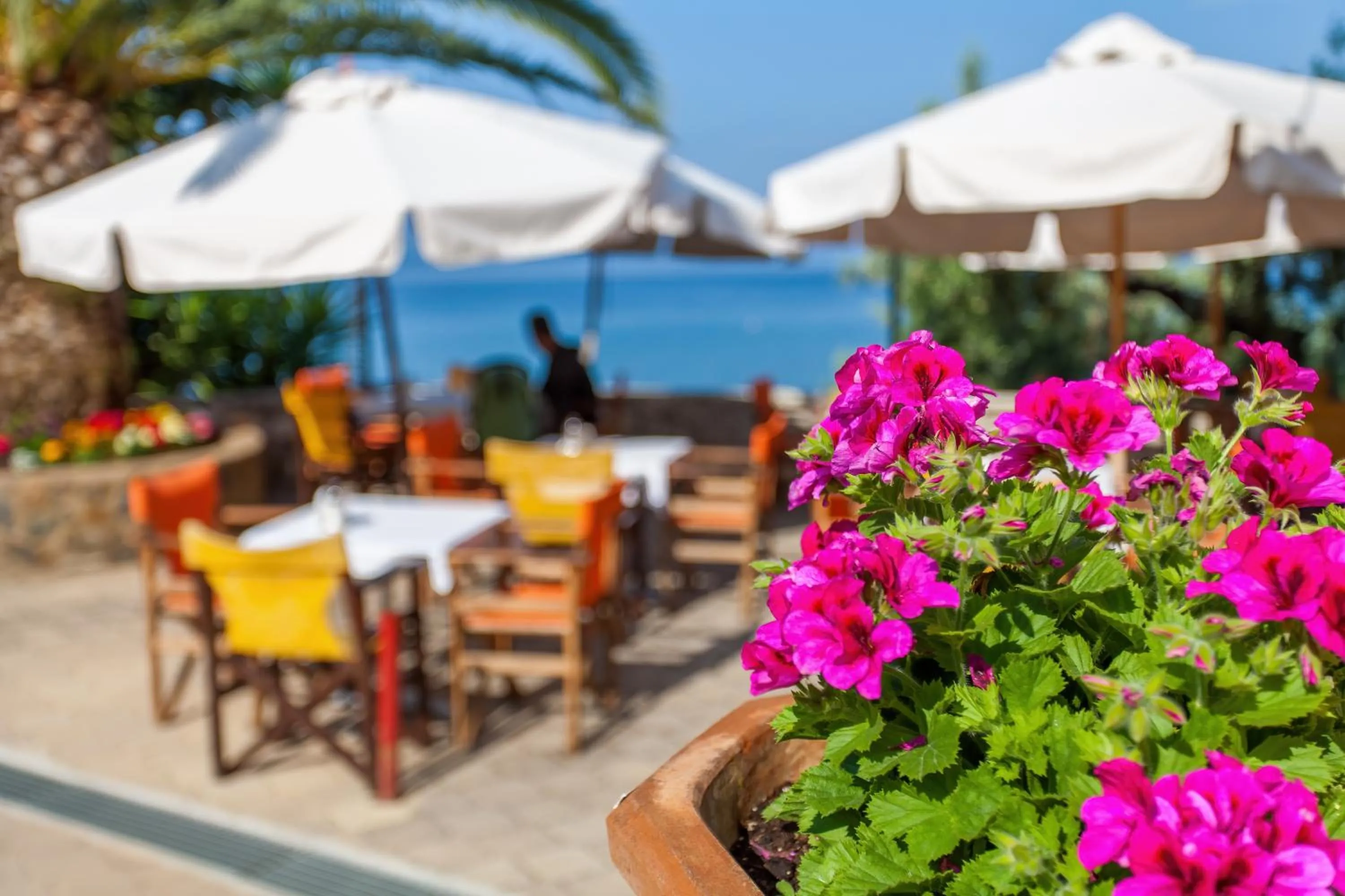 Dining area in Maistrali Beach Studios