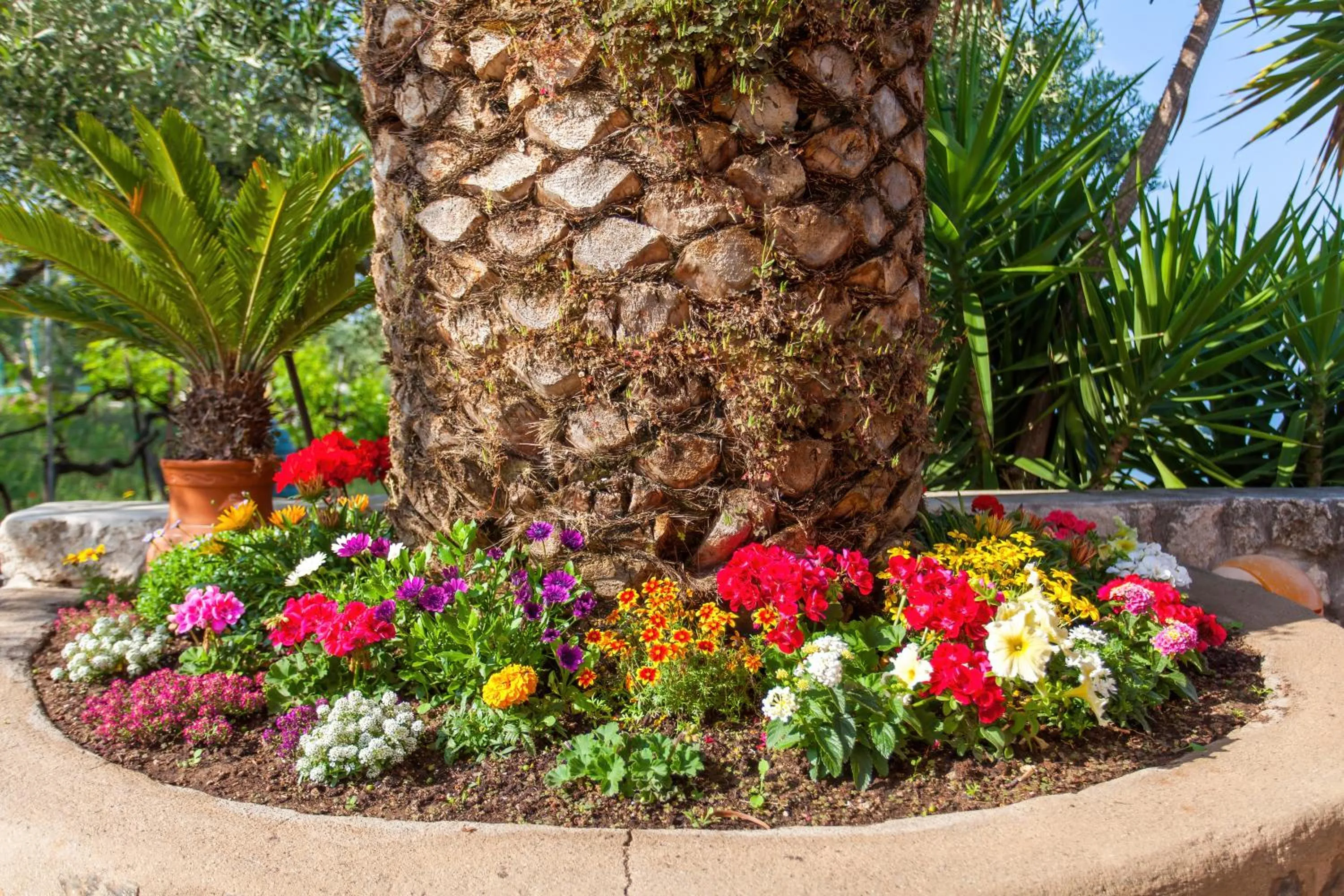 Garden in Maistrali Beach Studios