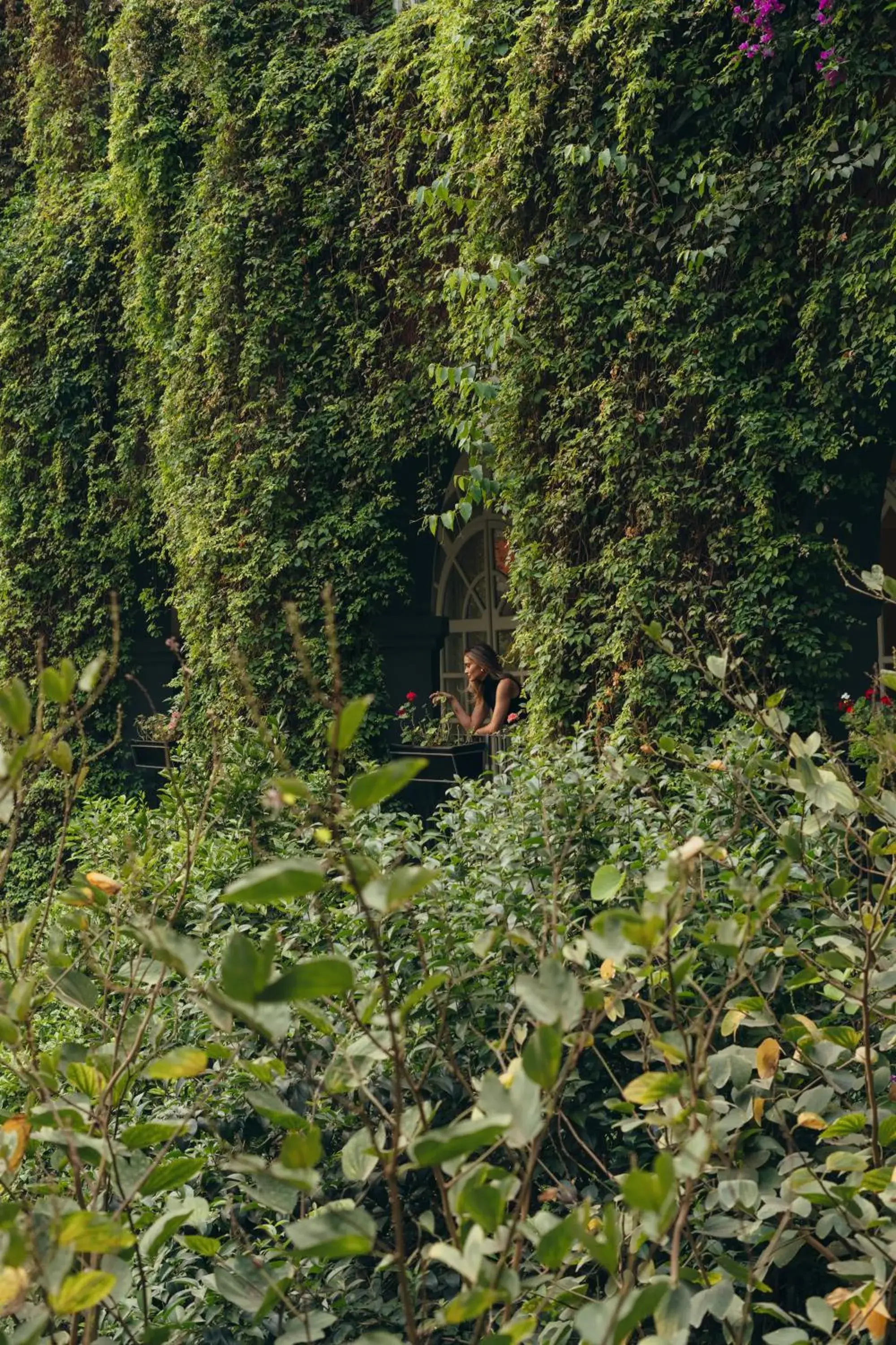 Inner courtyard view in Four Seasons Hotel Mexico City Inner courtyard view in Four Seasons Hotel Mexico City