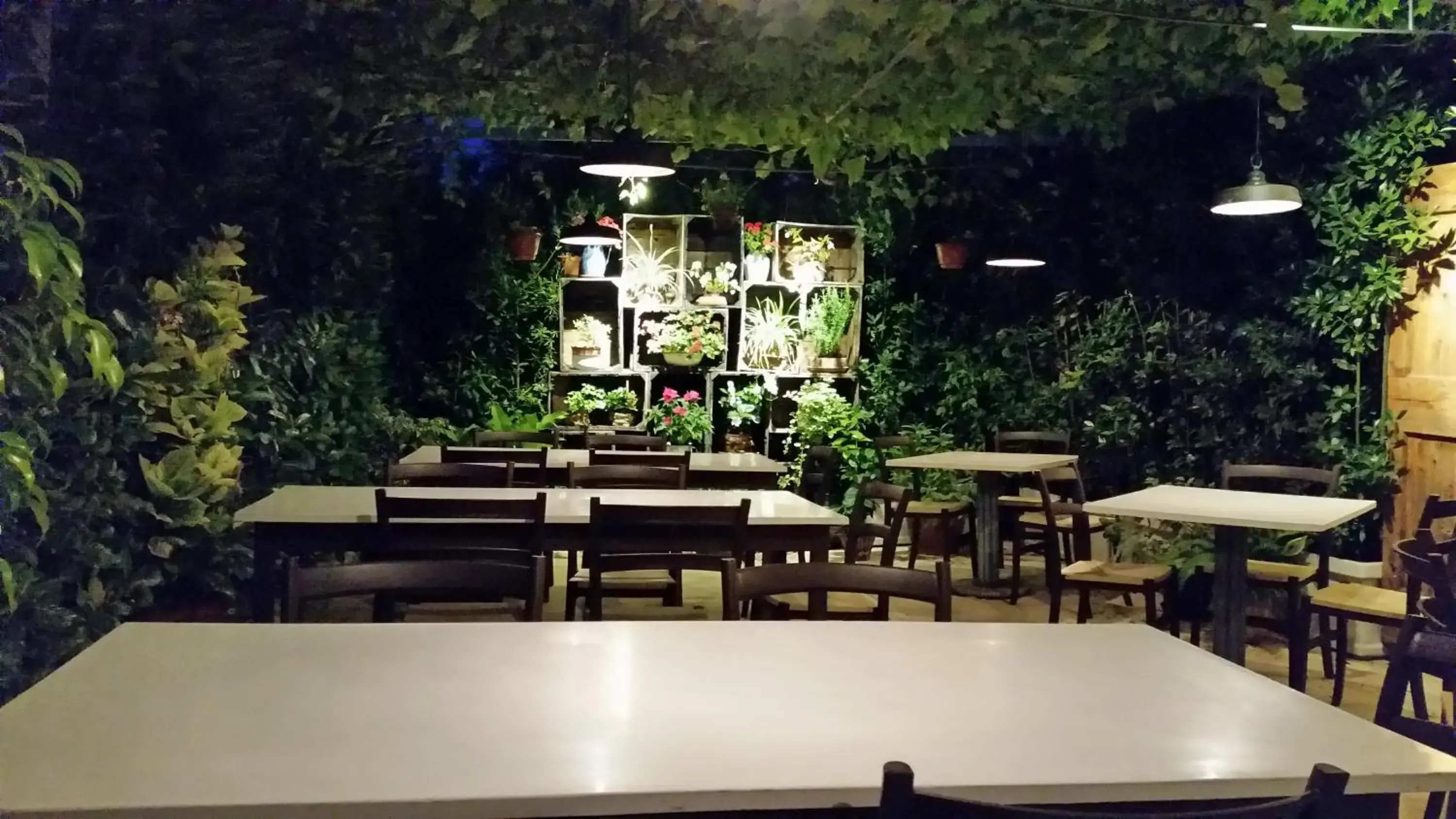 Restaurant/places to eat in Casa Rosanna Restaurant/places to eat in Casa Rosanna