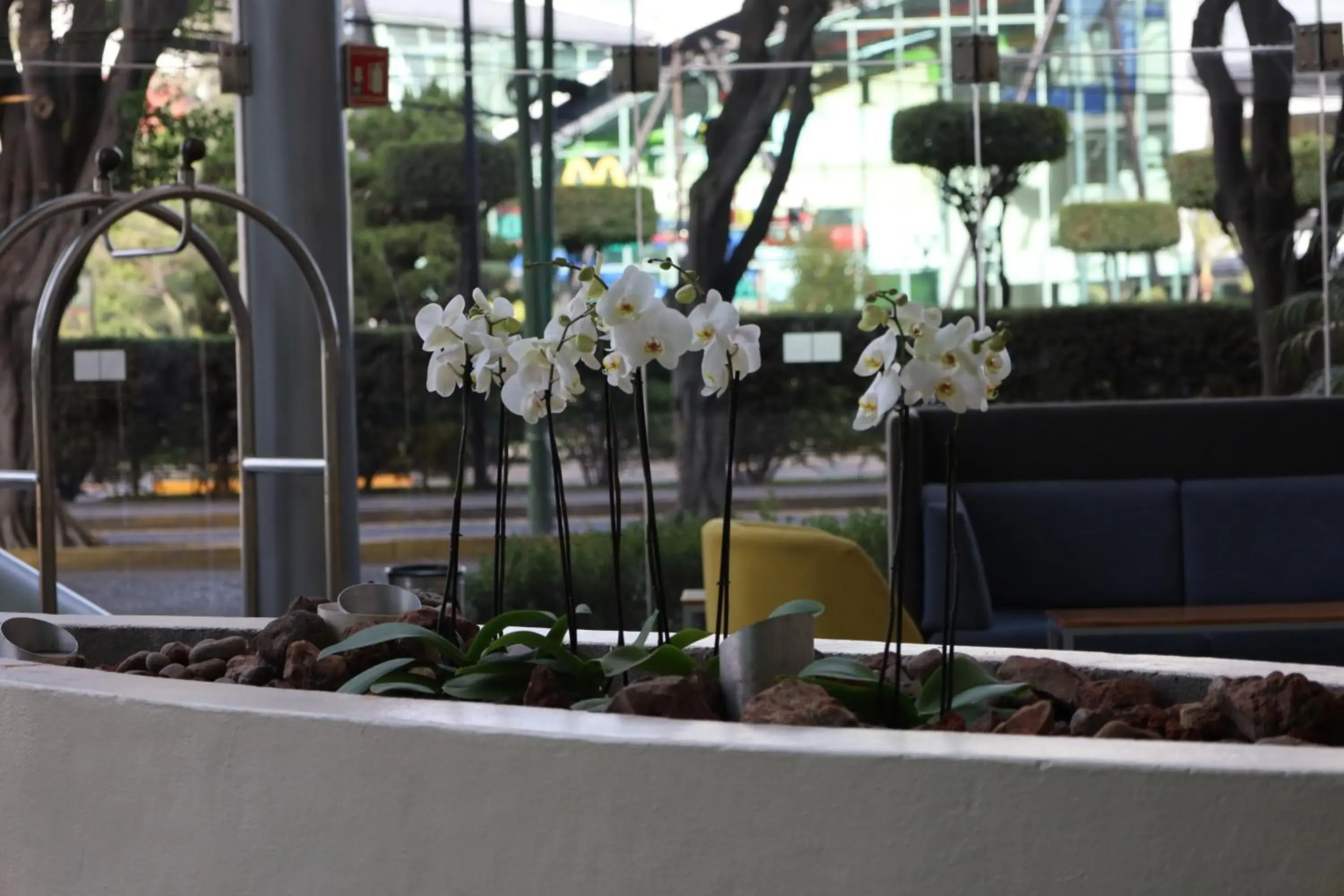 Lobby or reception in Holiday Inn Express Guadalajara Expo by IHG Lobby or reception in Holiday Inn Express Guadalajara Expo by IHG