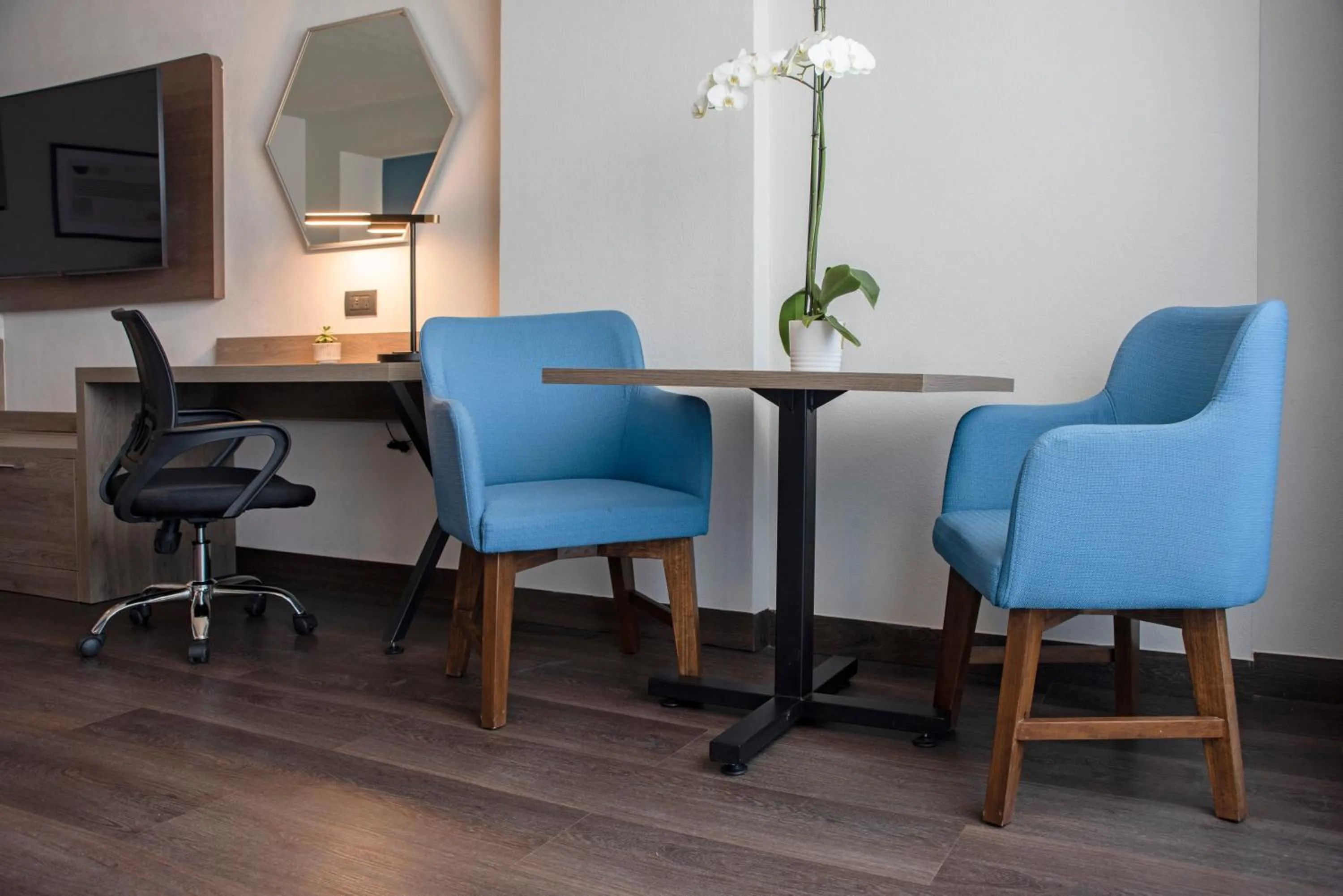 Holiday Inn Express Guadalajara Expo by IHG