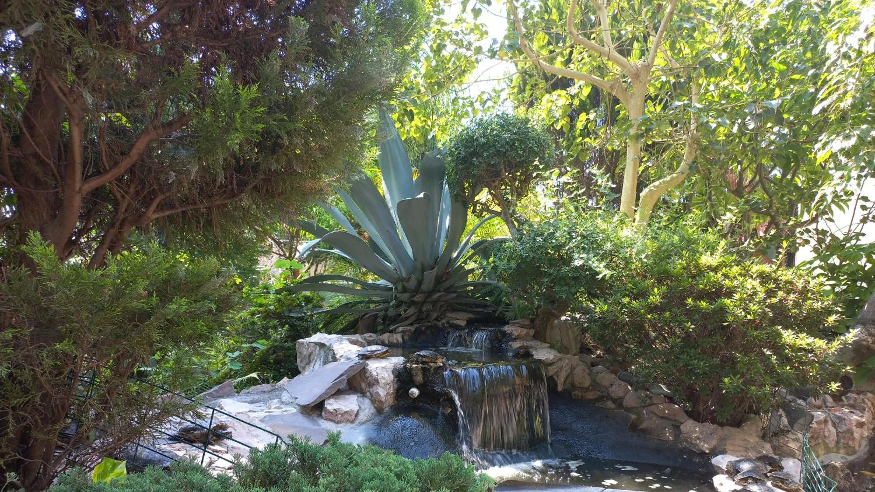 Other in Holiday Inn Cuernavaca by IHG