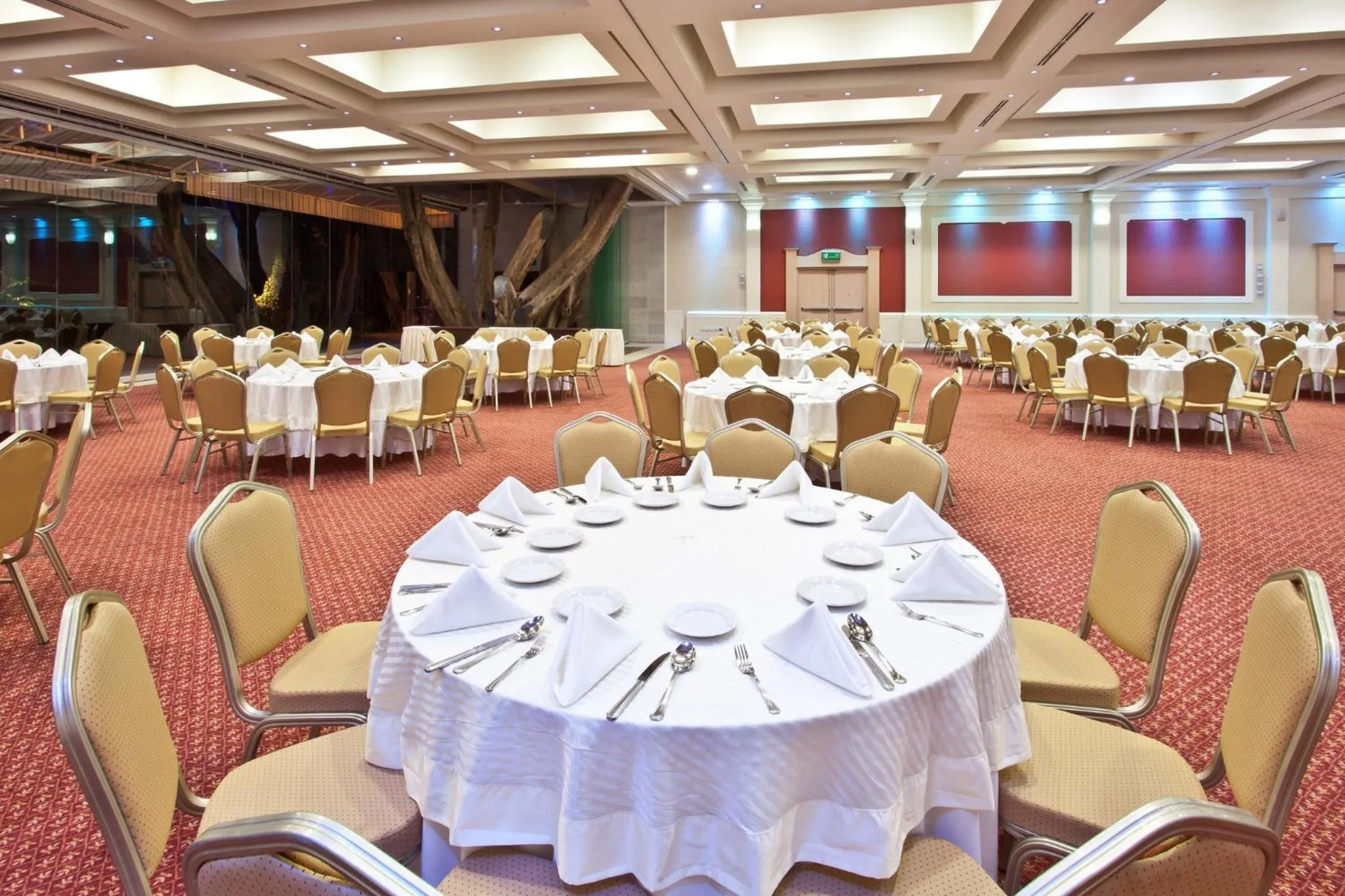 Meeting/conference room in Holiday Inn Cuernavaca by IHG