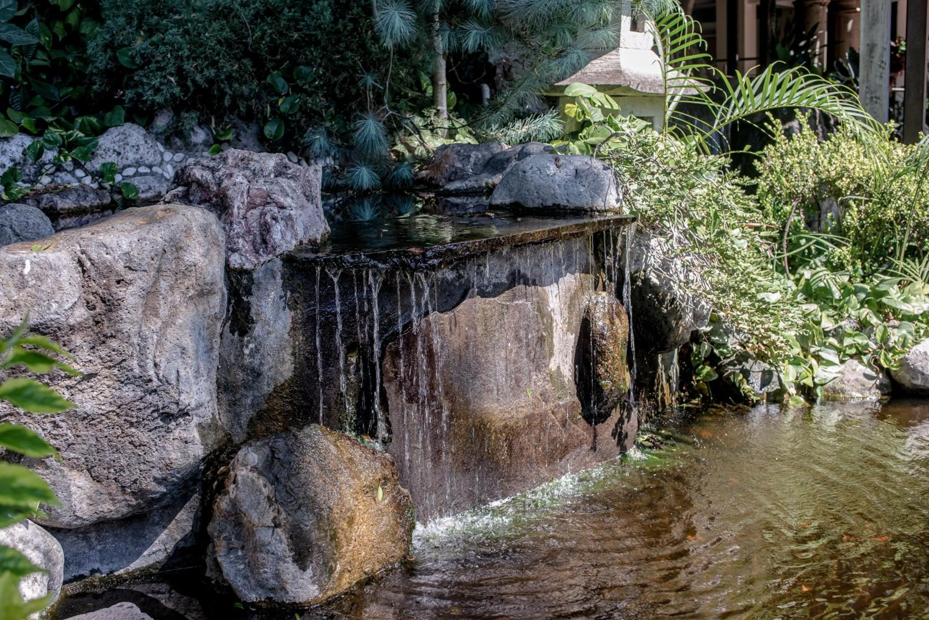 Other in Holiday Inn Cuernavaca by IHG