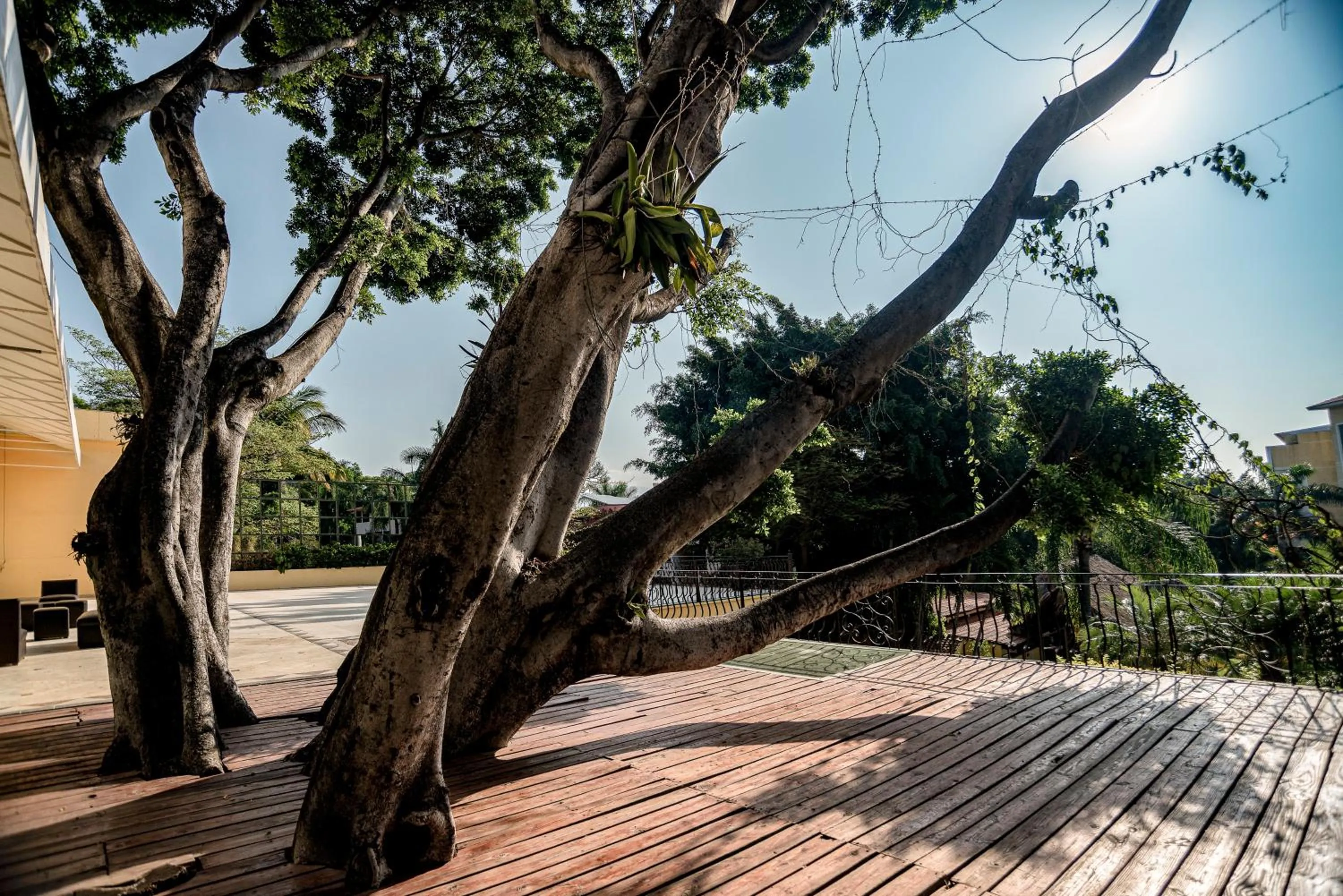 Other in Holiday Inn Cuernavaca by IHG