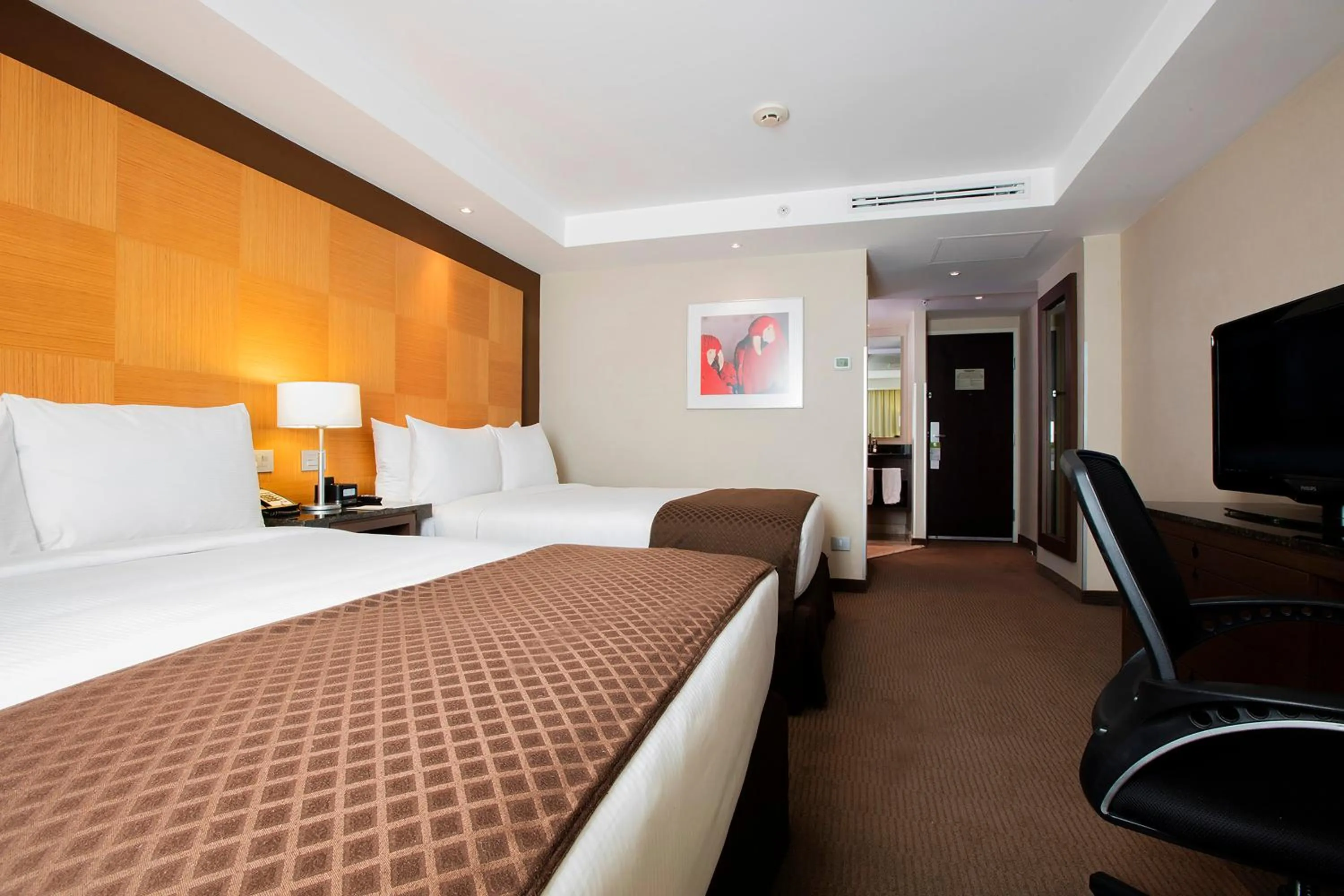 Photo of the whole room, Bed in Krystal Urban Aeropuerto Ciudad de Mexico