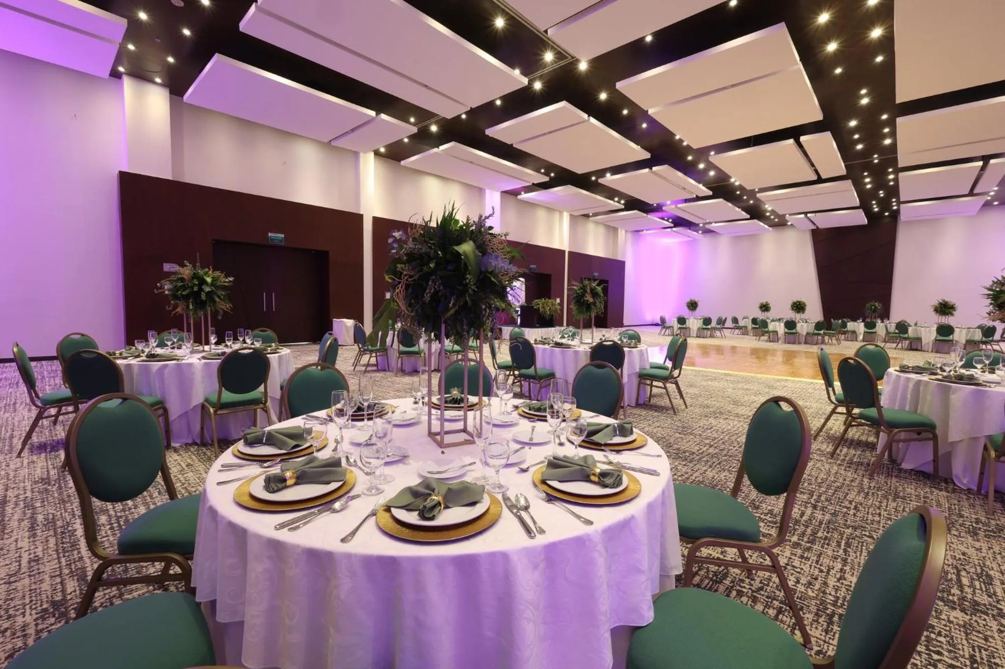 Meeting/conference room in Holiday Inn Veracruz-Boca Del Rio by IHG