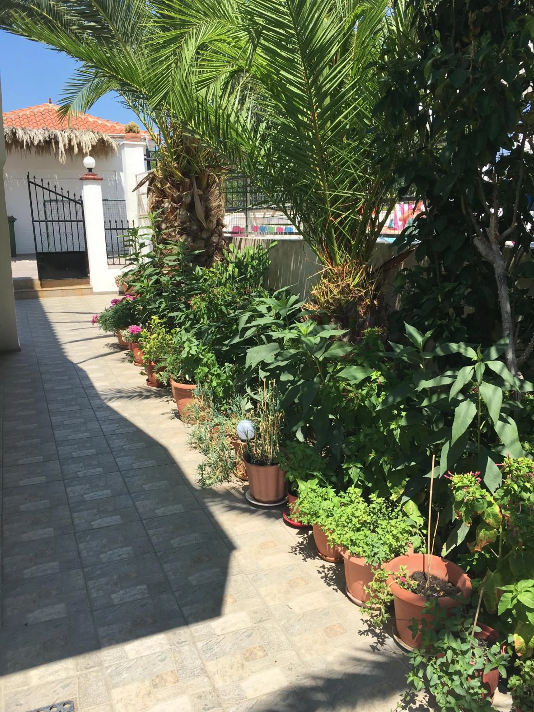 Natural landscape in Joanna Rooms