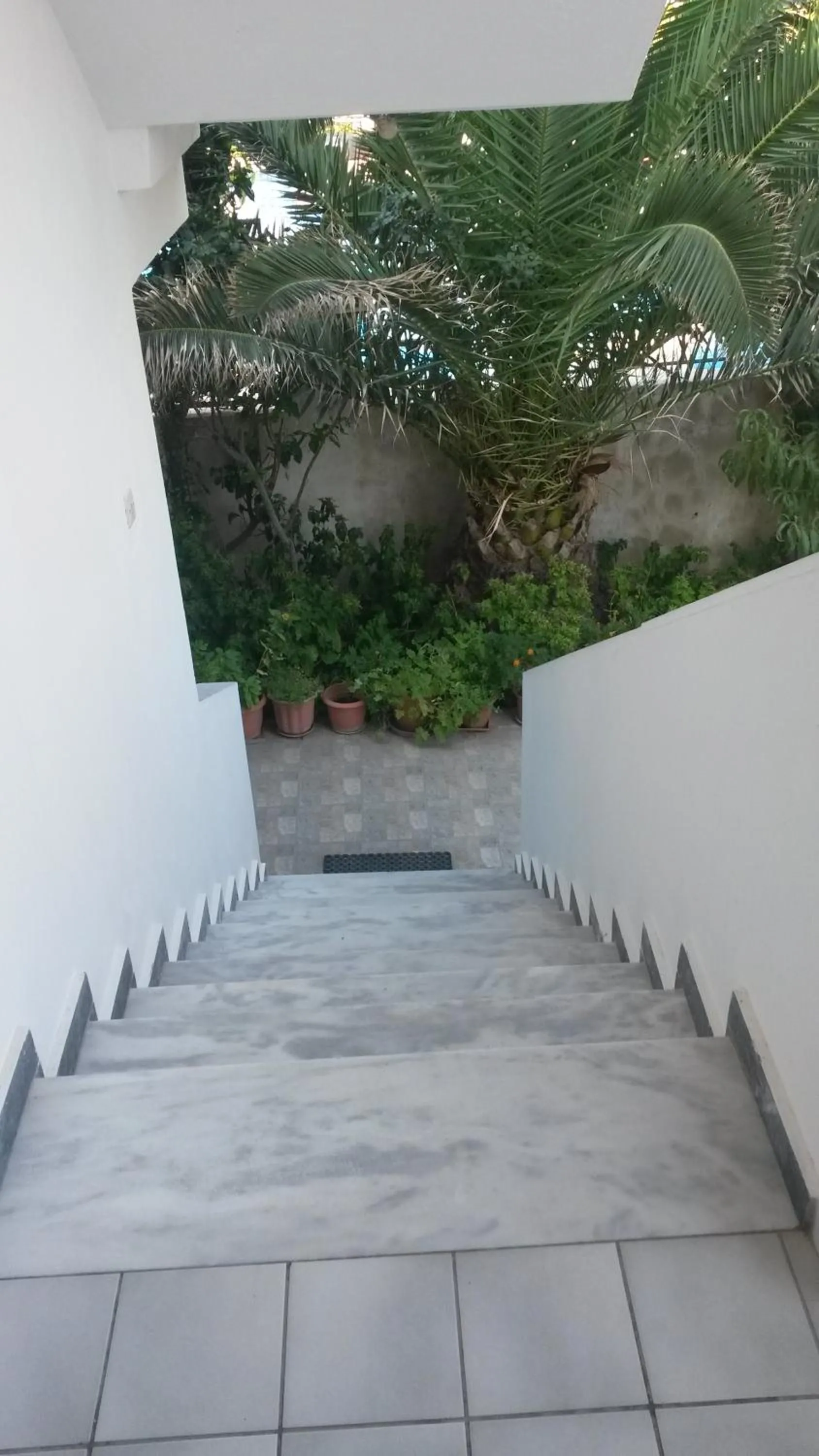 Property building in Joanna Rooms