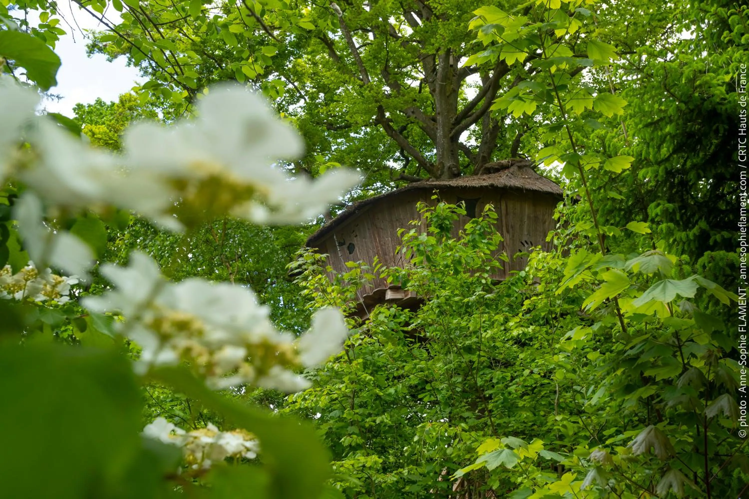 Natural landscape in Le Domaine de Wail - Legends Resort