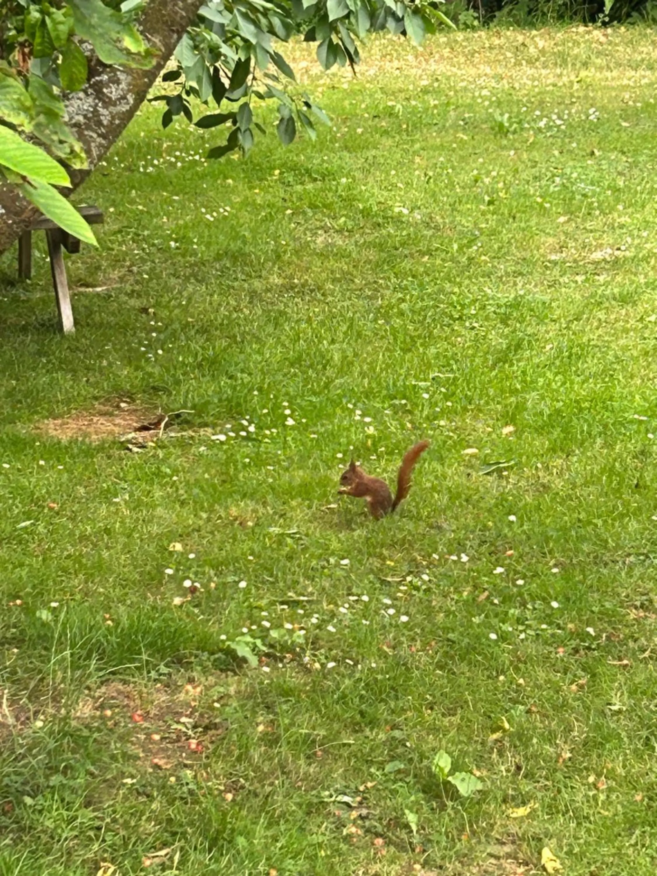 Spring in Le Domaine de Wail - Legends Resort