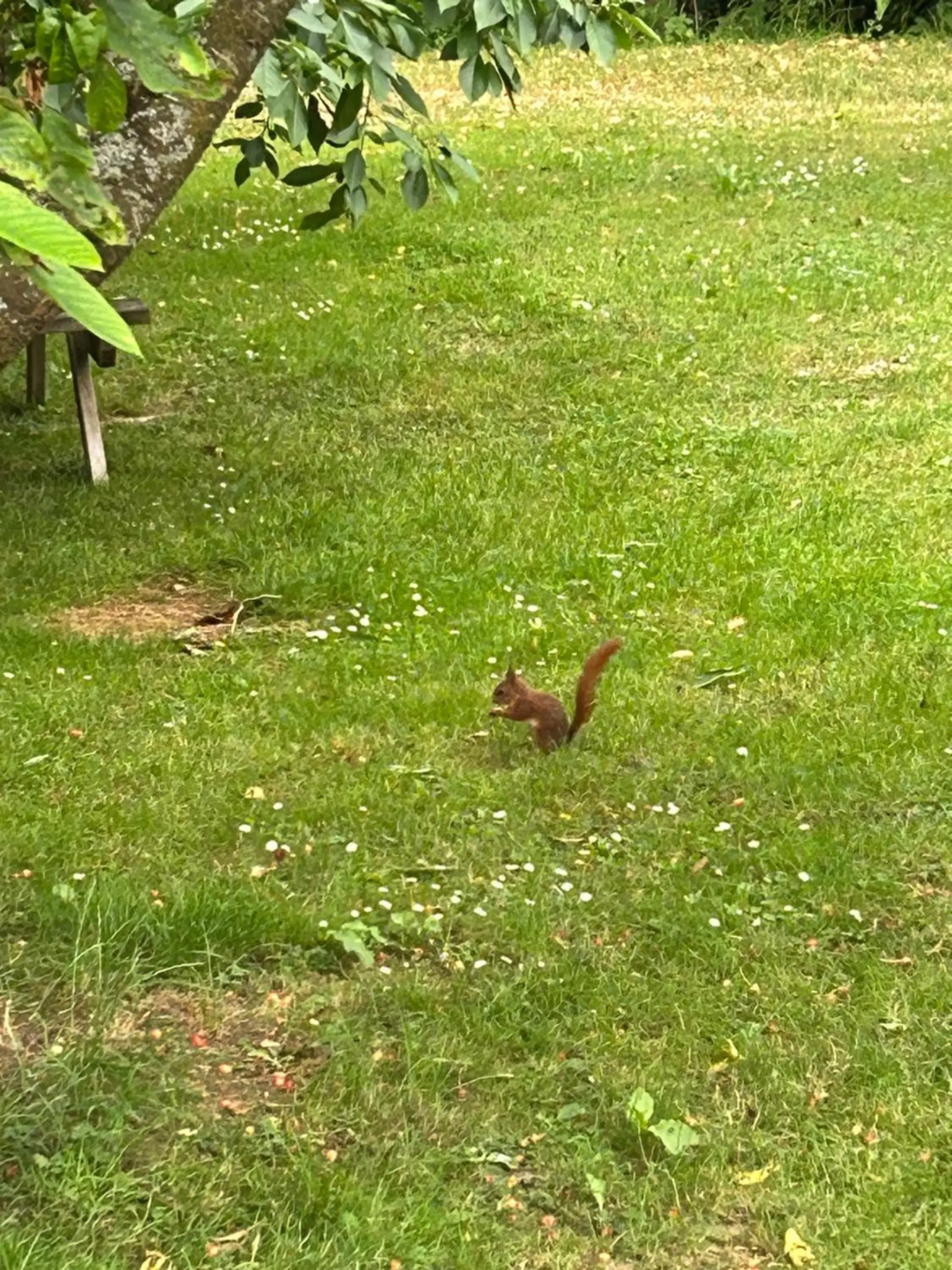 Double Room with Private Bathroom in Le Domaine de Wail - Legends Resort Double Room with Private Bathroom in Le Domaine de Wail - Legends Resort