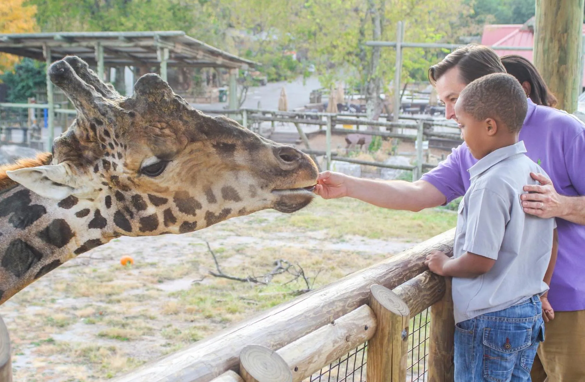 Nearby landmark in Holiday Inn Express & Suites Knoxville-Farragut by IHG