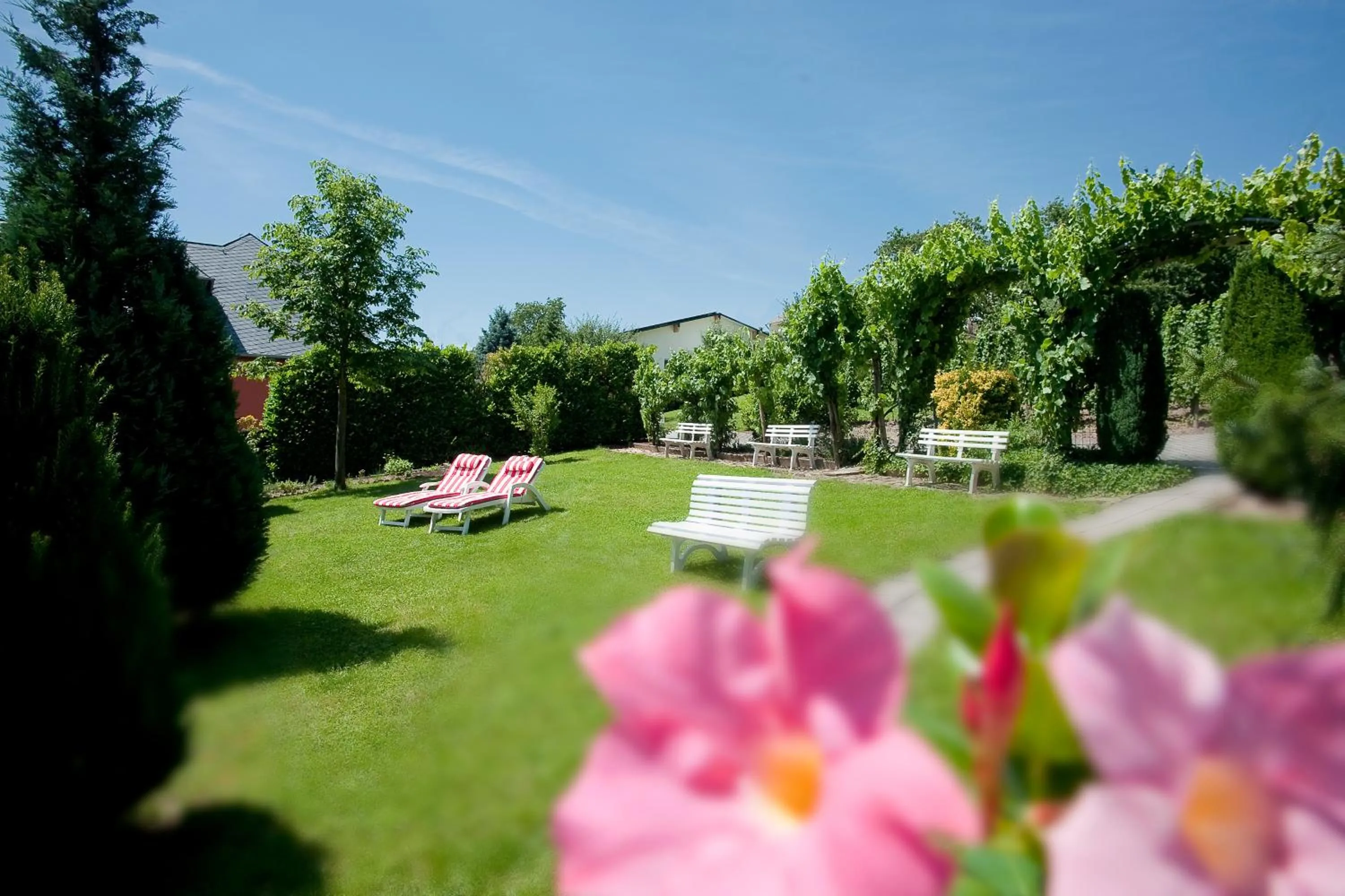 Garden in Hotel Springiersbacher-Hof