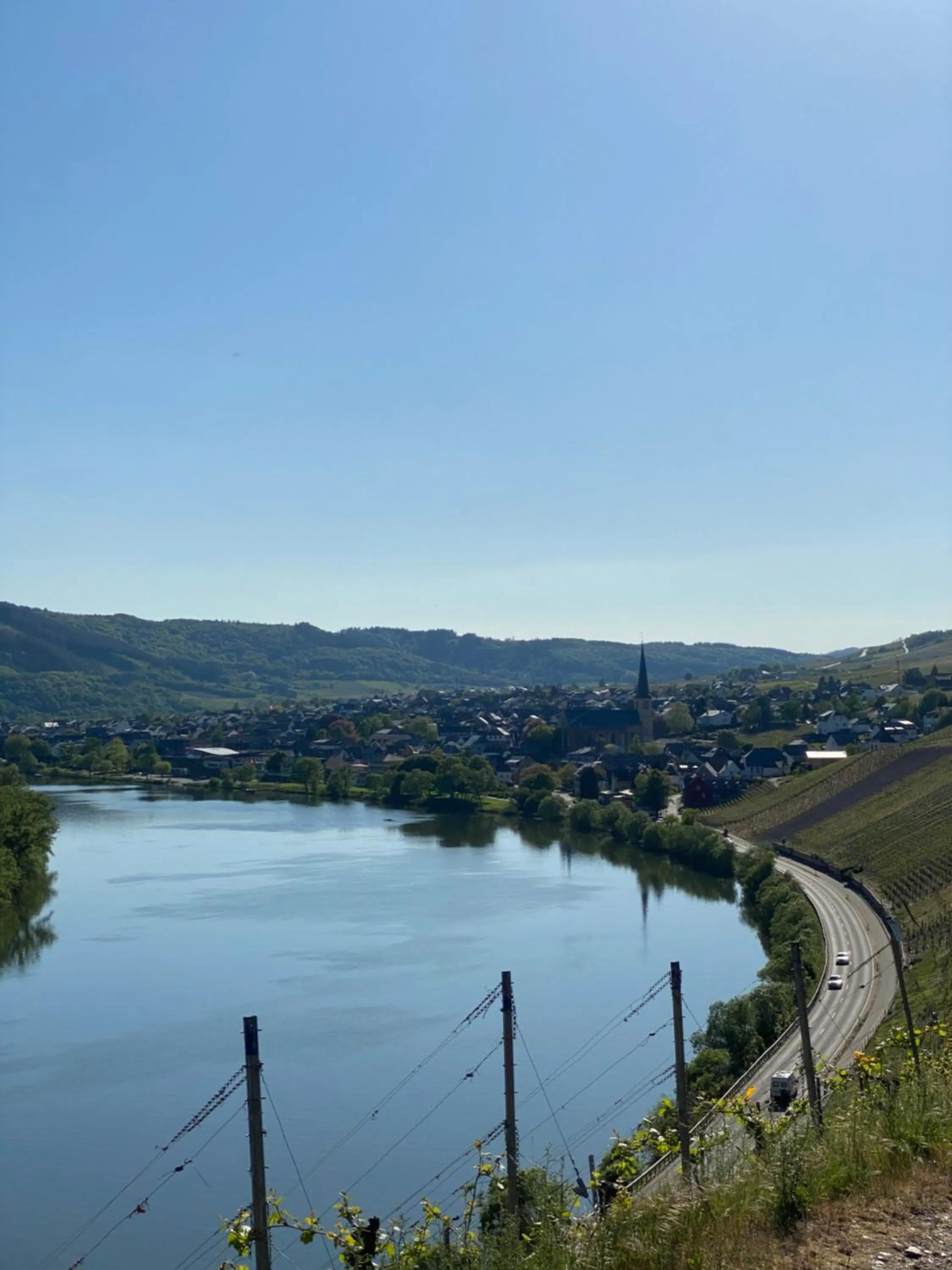 Hiking in Hotel Springiersbacher-Hof