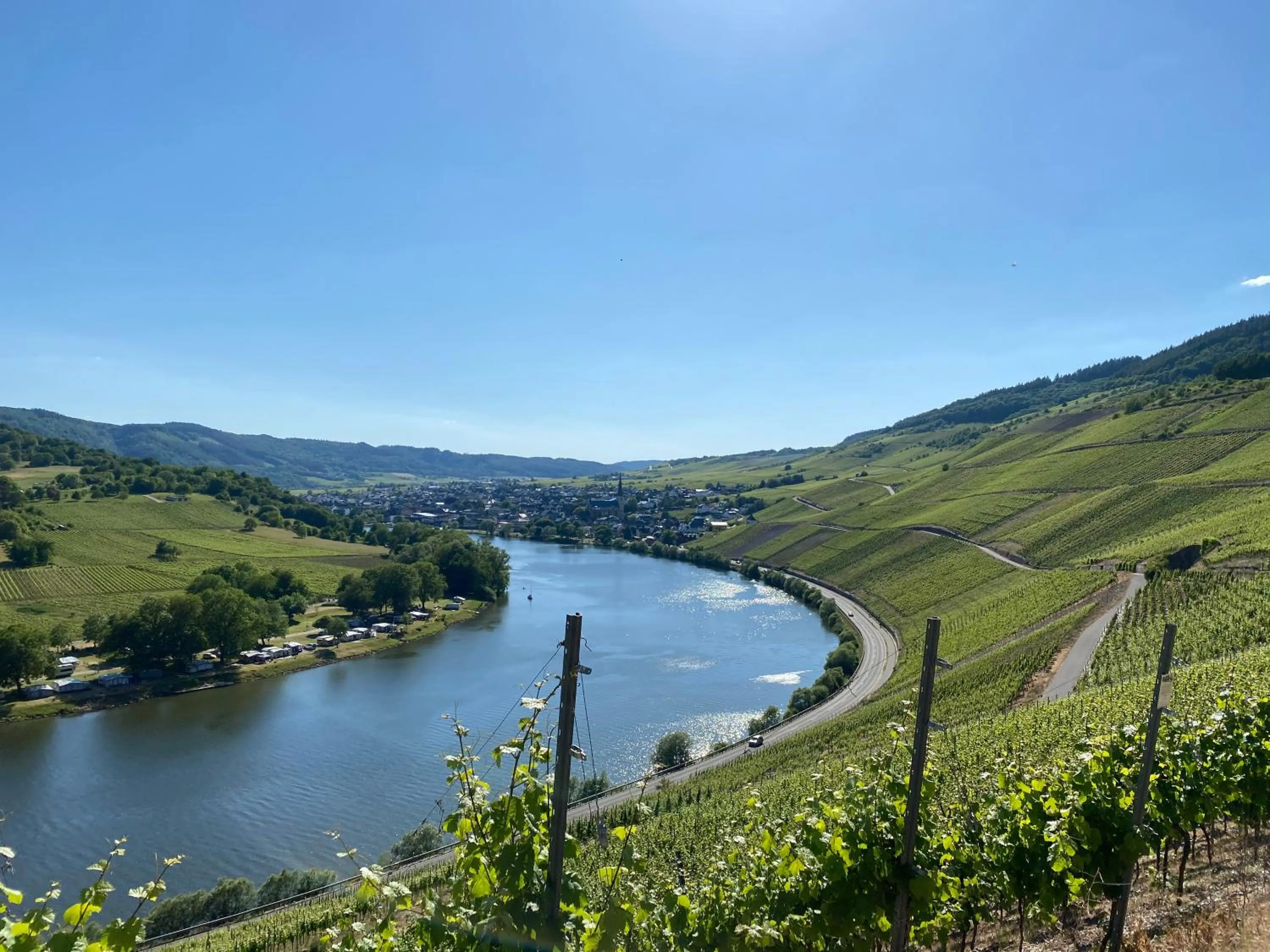 Natural landscape in Hotel Springiersbacher-Hof