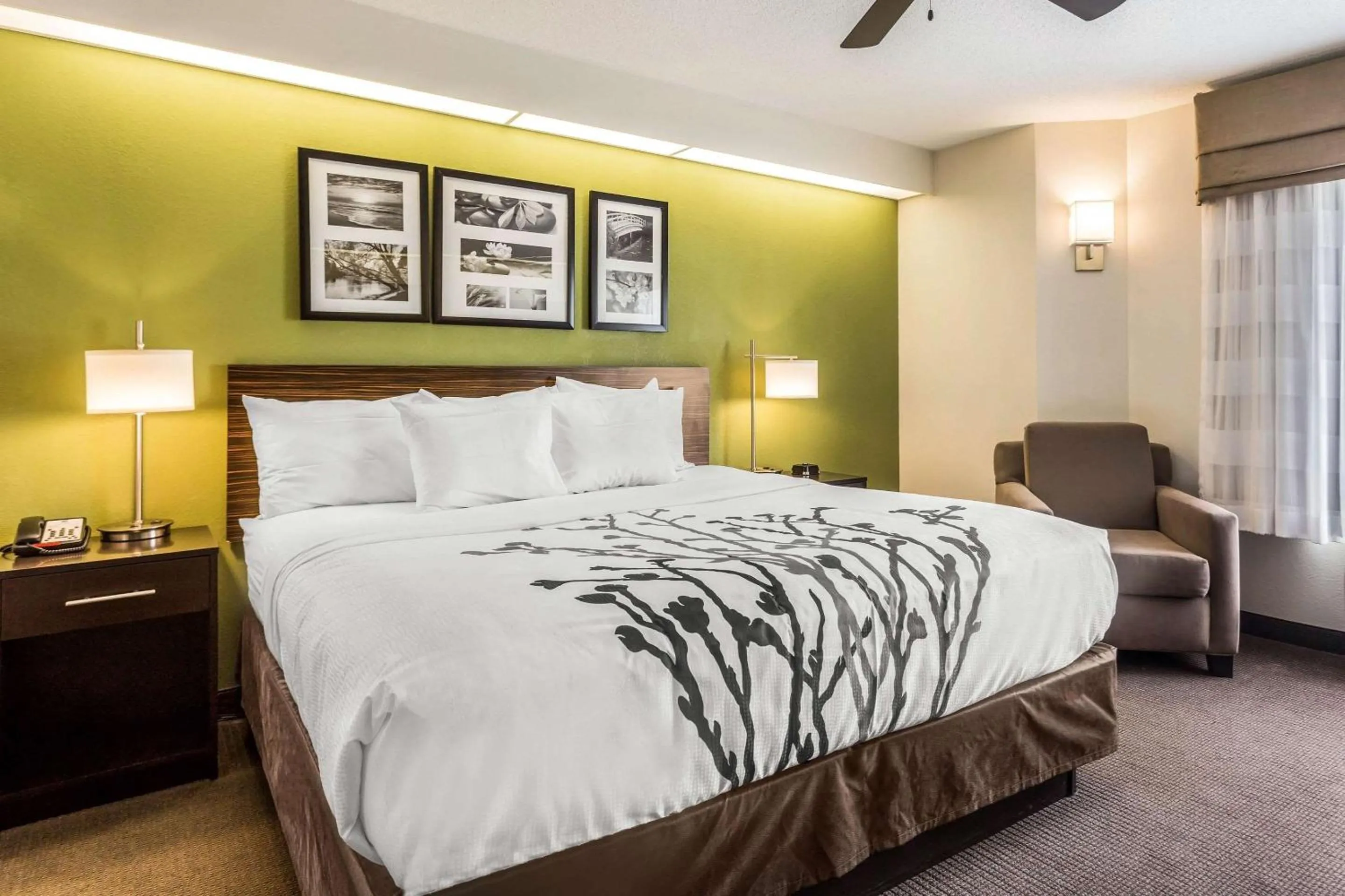 Photo of the whole room, Bed in Sleep Inn Charleston - West Ashley