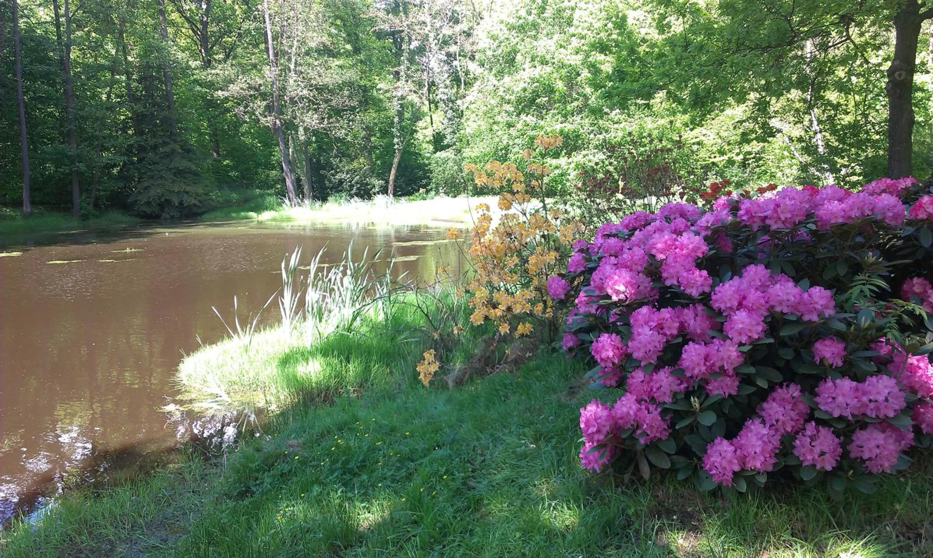 Spring in Zamek Kliczków