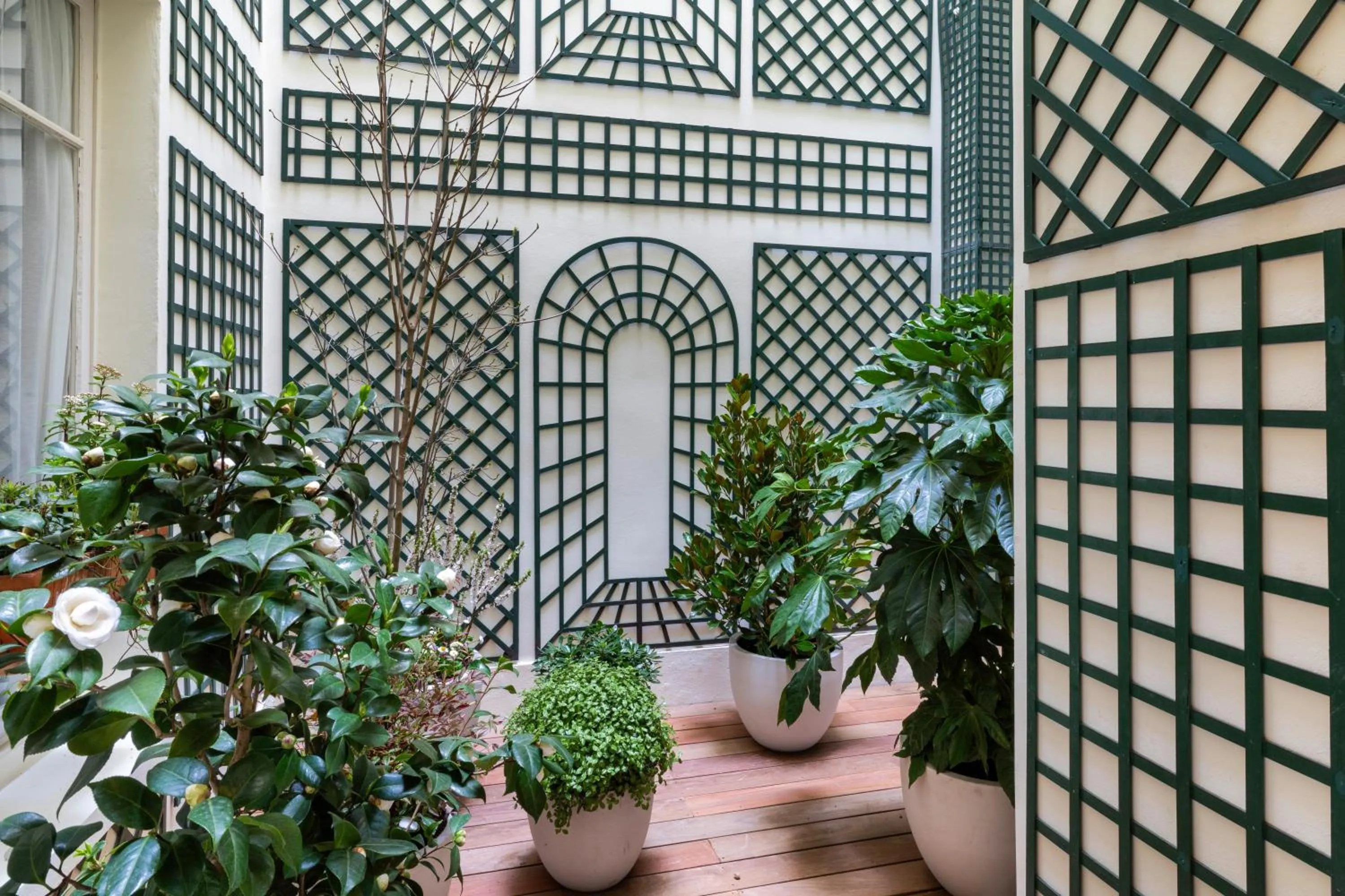 Garden in Hotel Clément