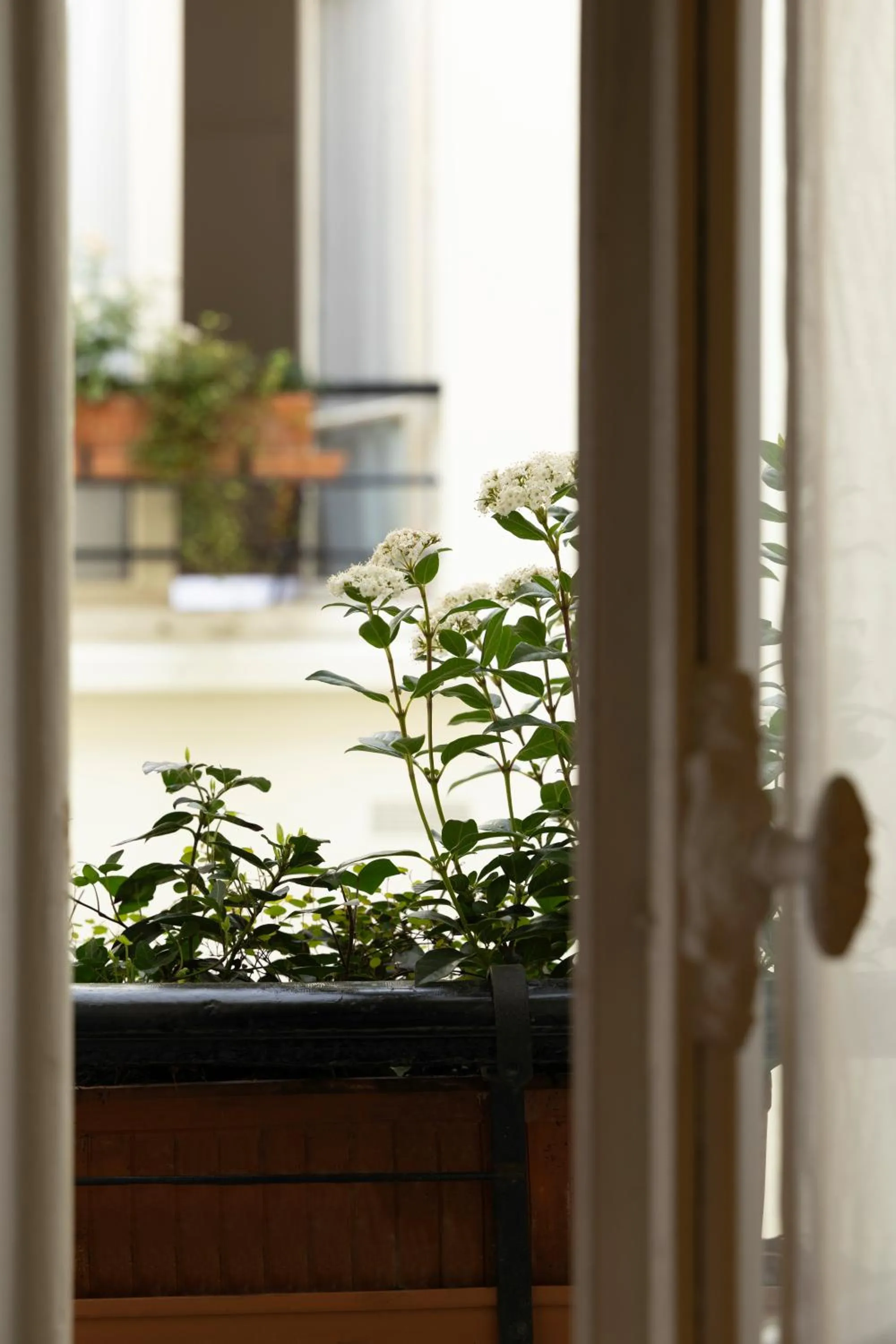 View (from property/room) in Hotel Clément