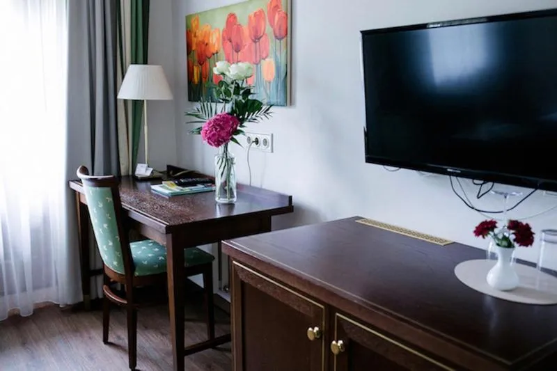 TV and multimedia in Hotel Friesacher`s Aniferhof