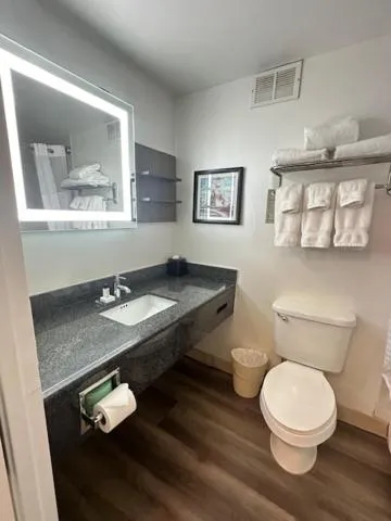 Wyndham Garden Norfolk Downtown