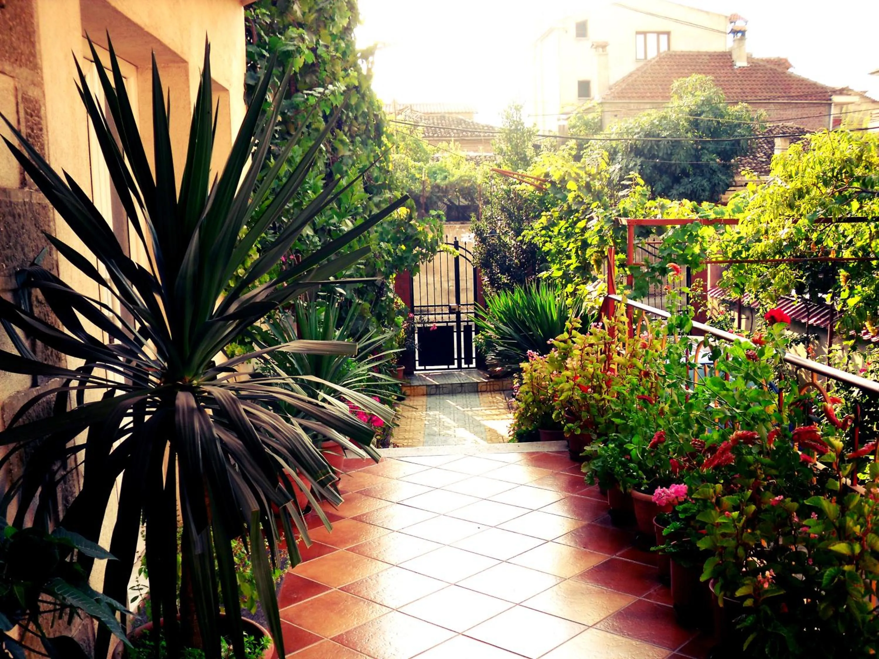 Apartment with Balcony in Diana Guesthouse
