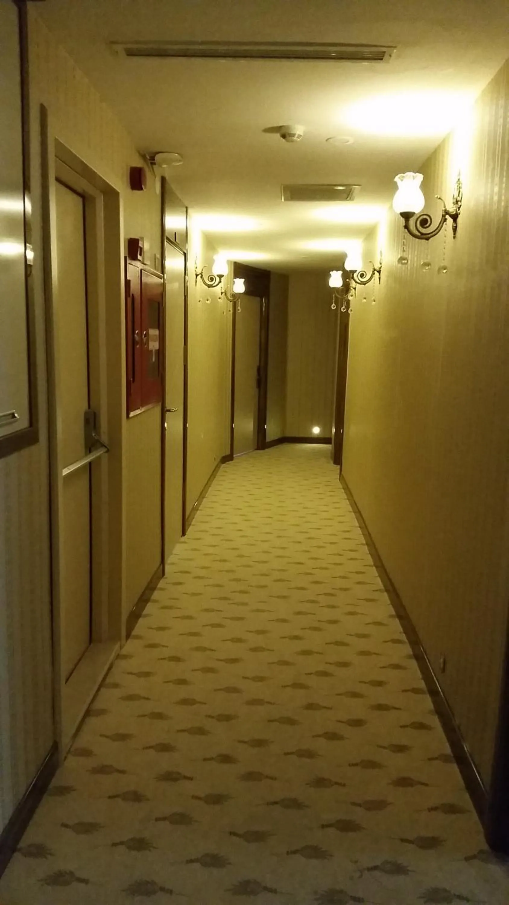 Decorative detail in Elazig Gunay Hotel