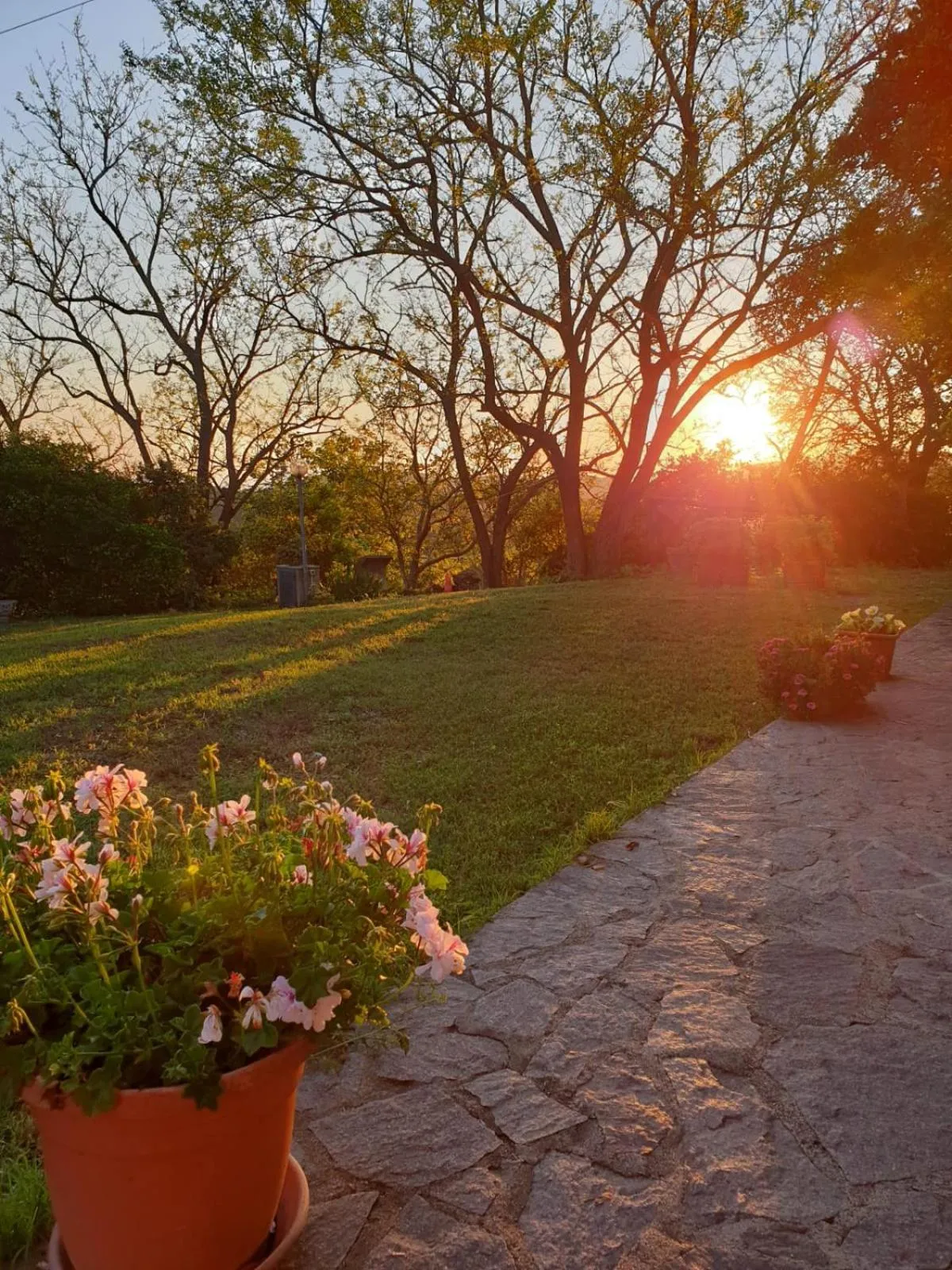 Agriturismo SaTanca