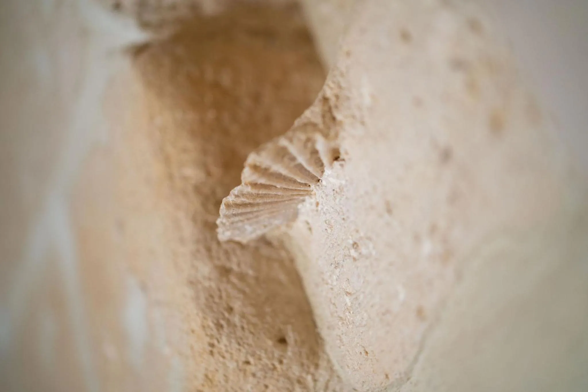 Decorative detail in La Casa di Ele