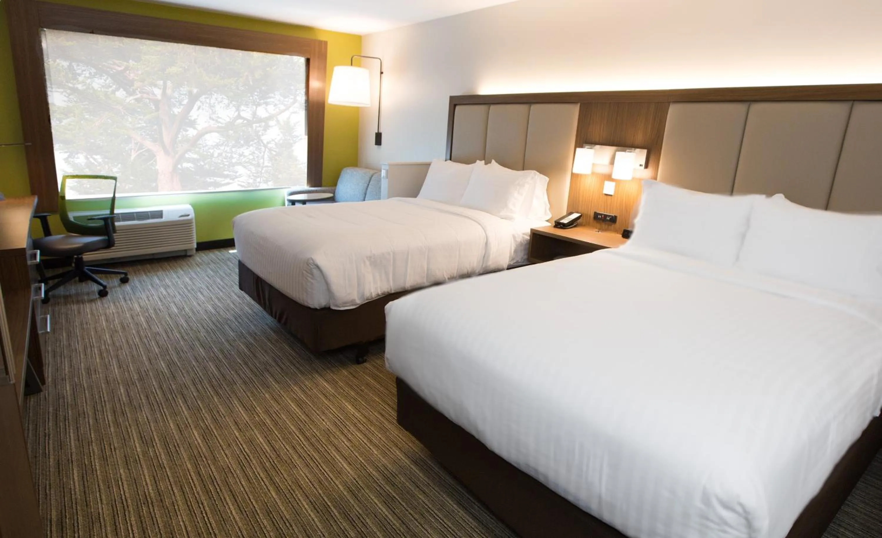 Photo of the whole room, Bed in Holiday Inn Express & Suites Greenwood Mall by IHG