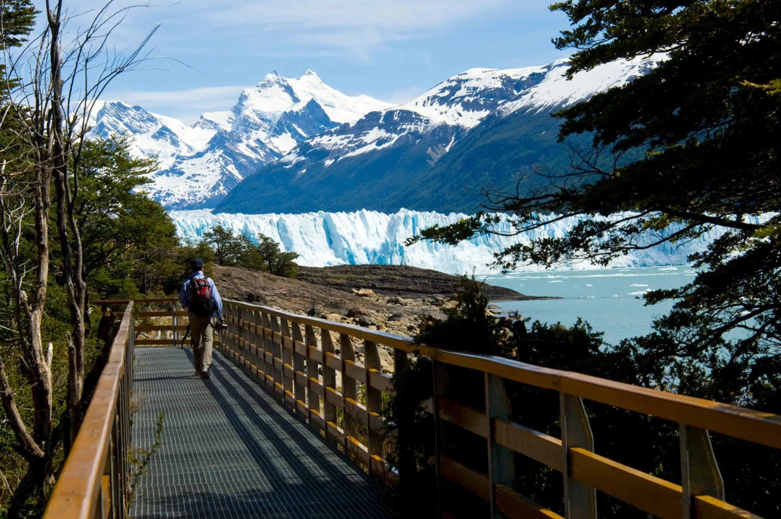 Animals in Sent Calafate
