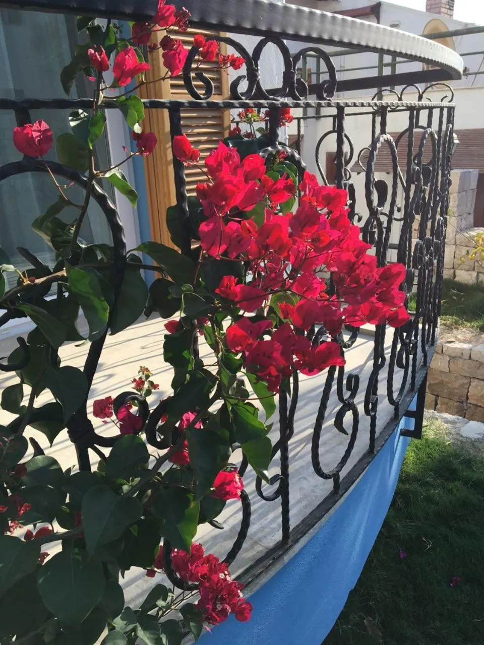 Property building in Clementin Suits Sigacık