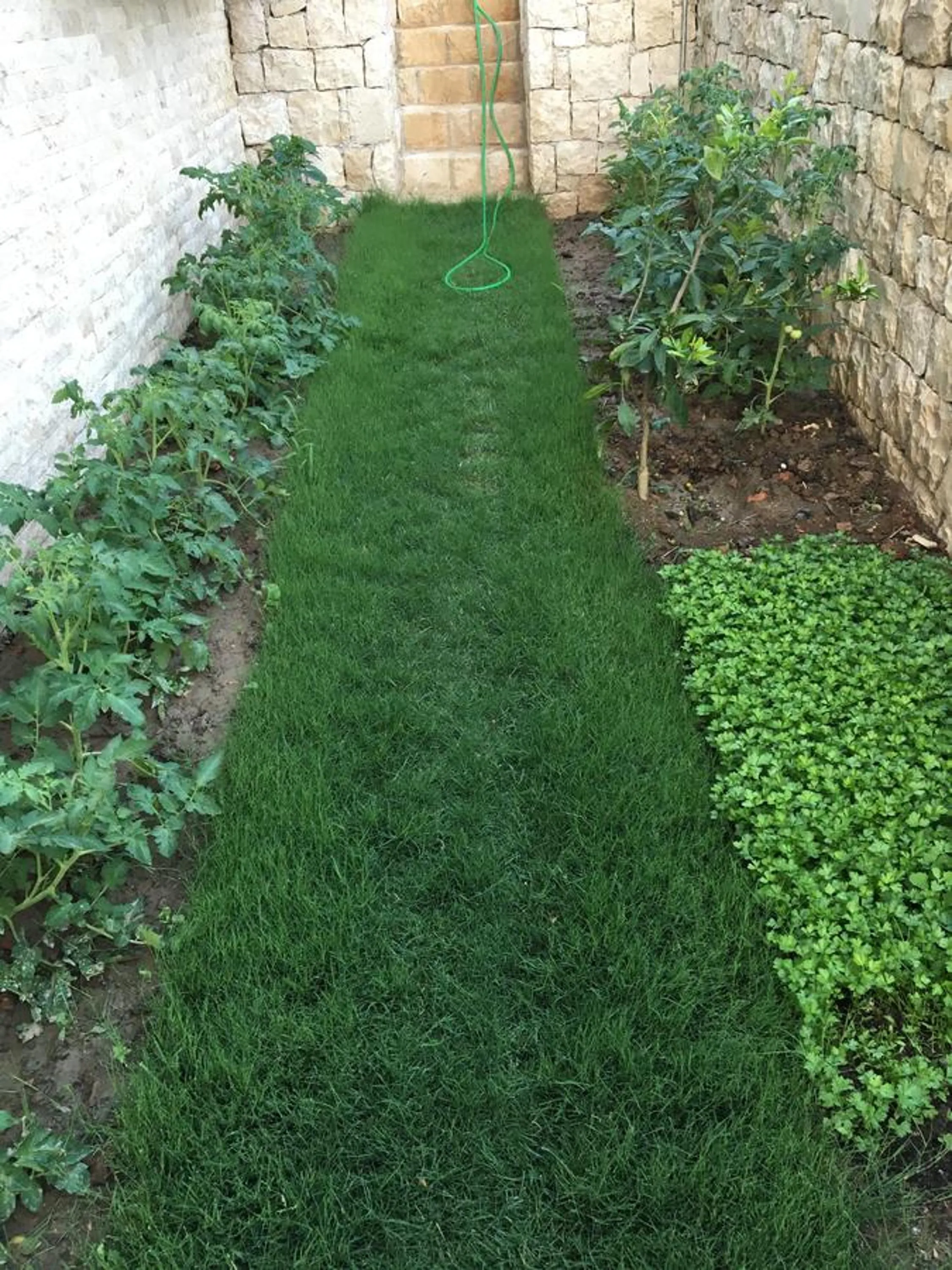 Day in Clementin Suits Sigacık