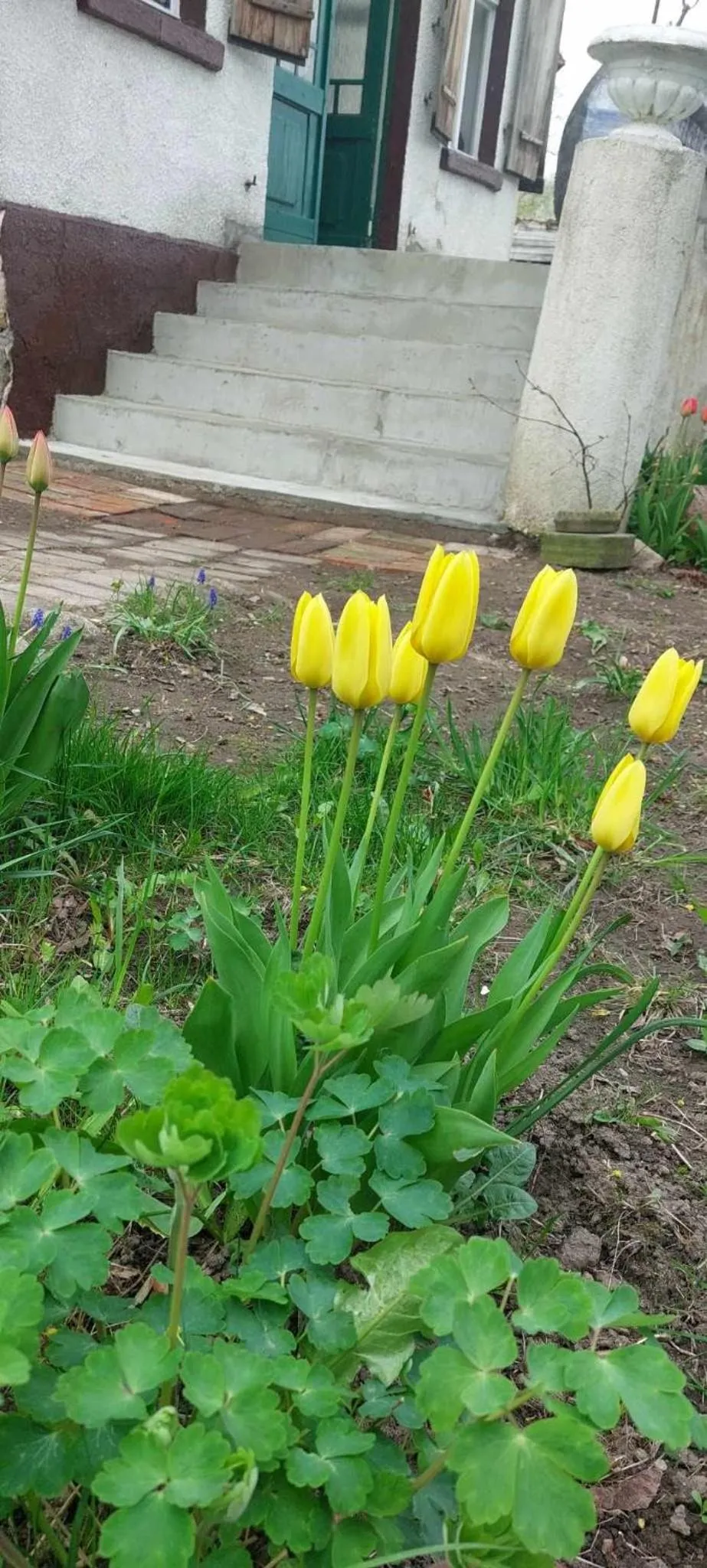 Property building in Dom na Mazurach Pilec