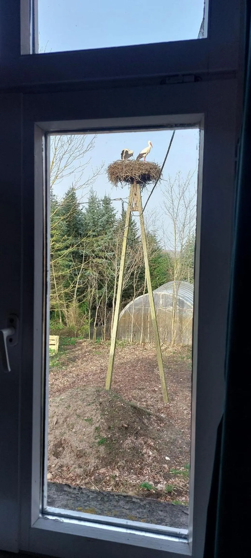 Day in Dom na Mazurach Pilec