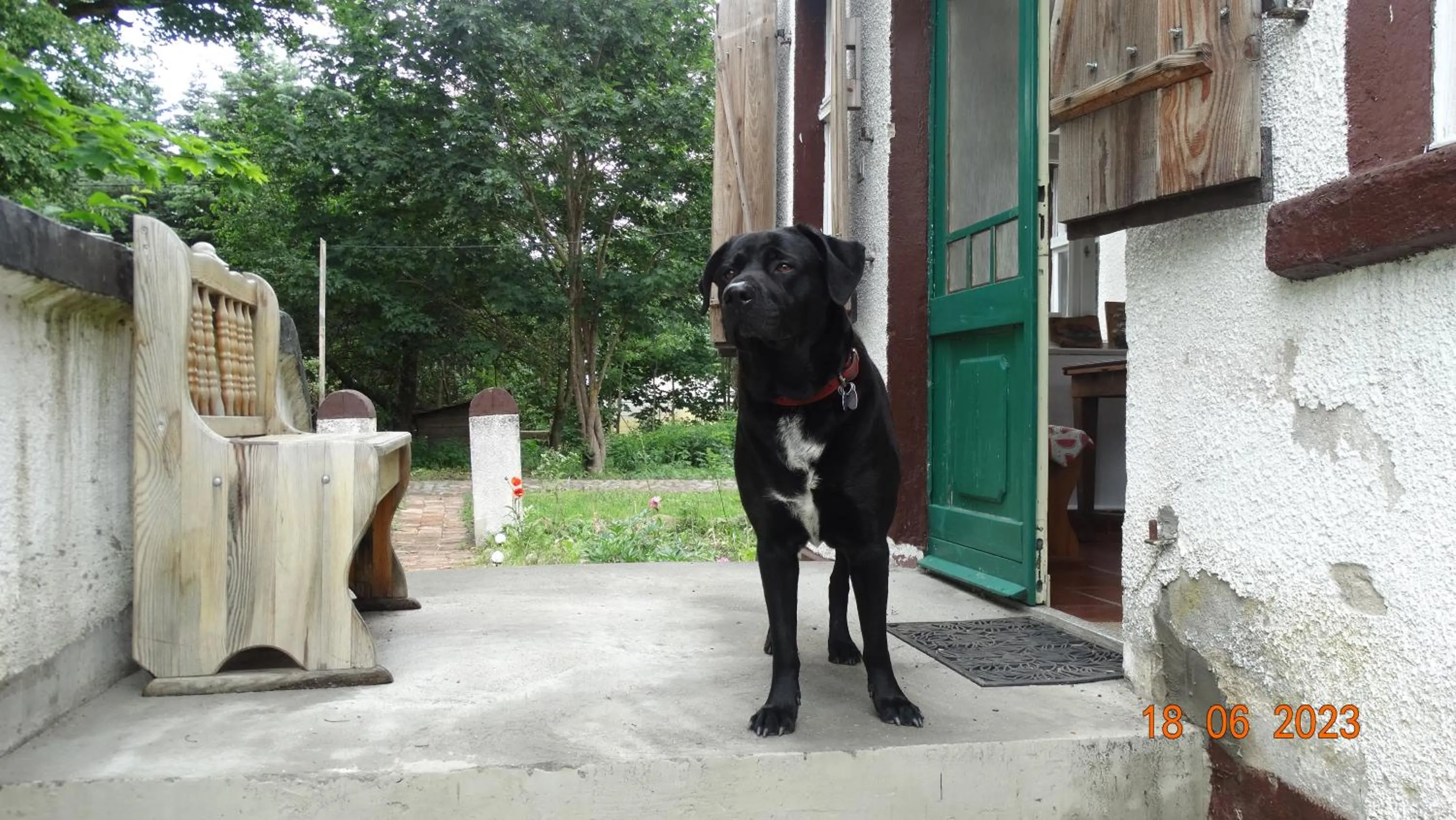 Day in Dom na Mazurach Pilec