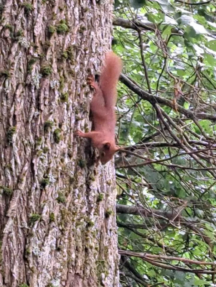 Spring in Dom na Mazurach Pilec