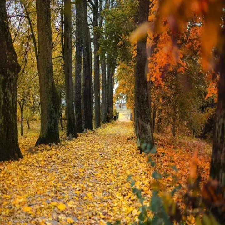 Property building in Dom na Mazurach Pilec