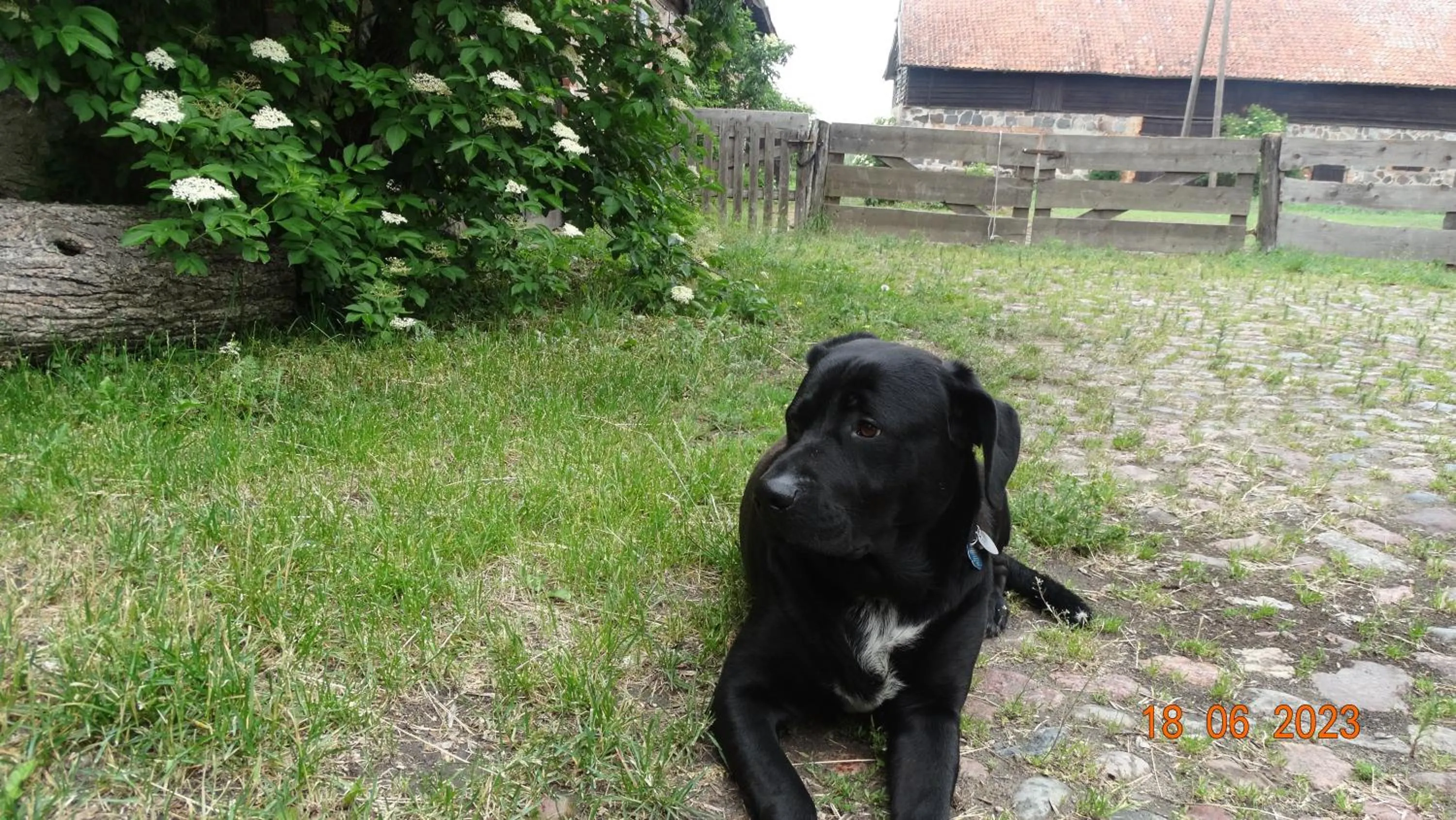 Day in Dom na Mazurach Pilec