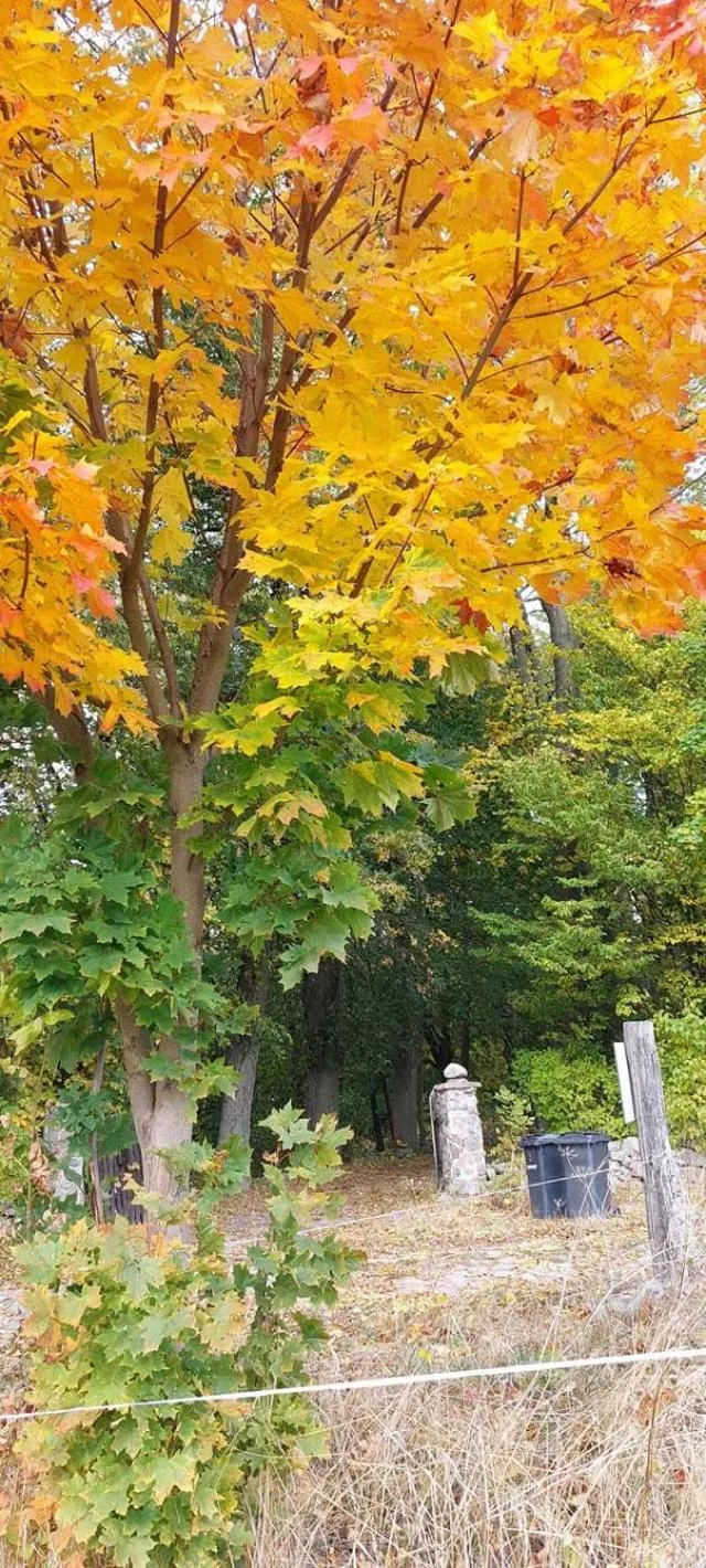 Day in Dom na Mazurach Pilec