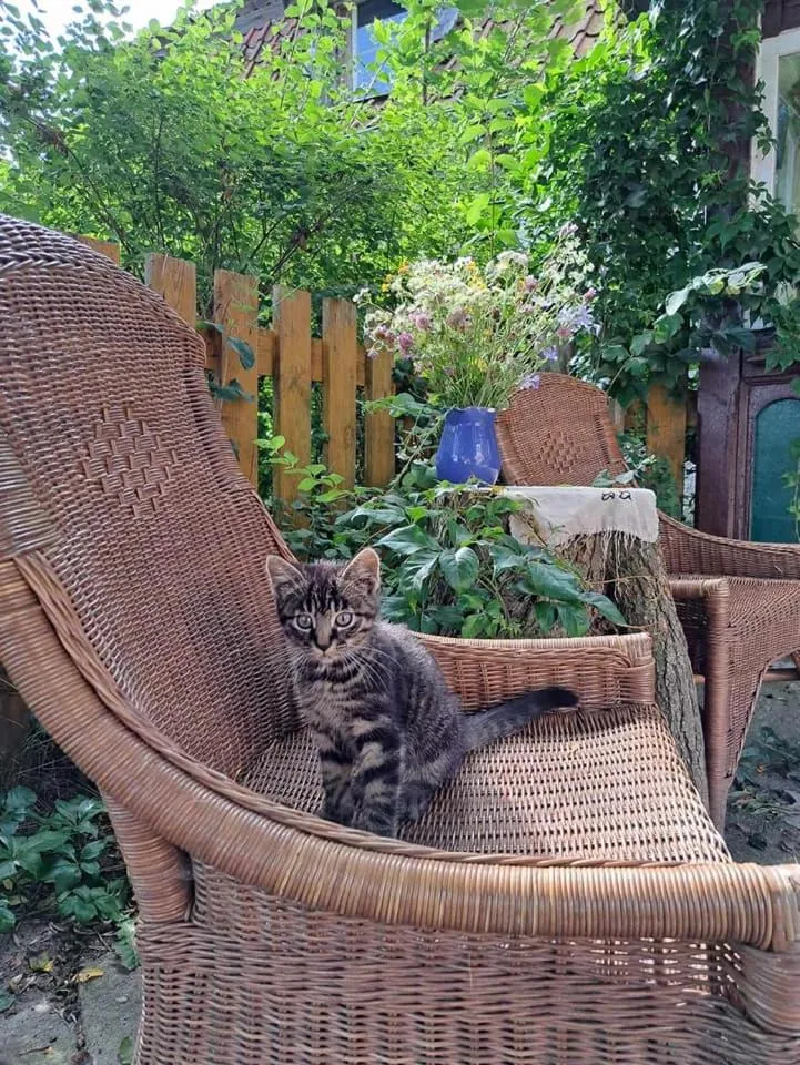 Day in Dom na Mazurach Pilec